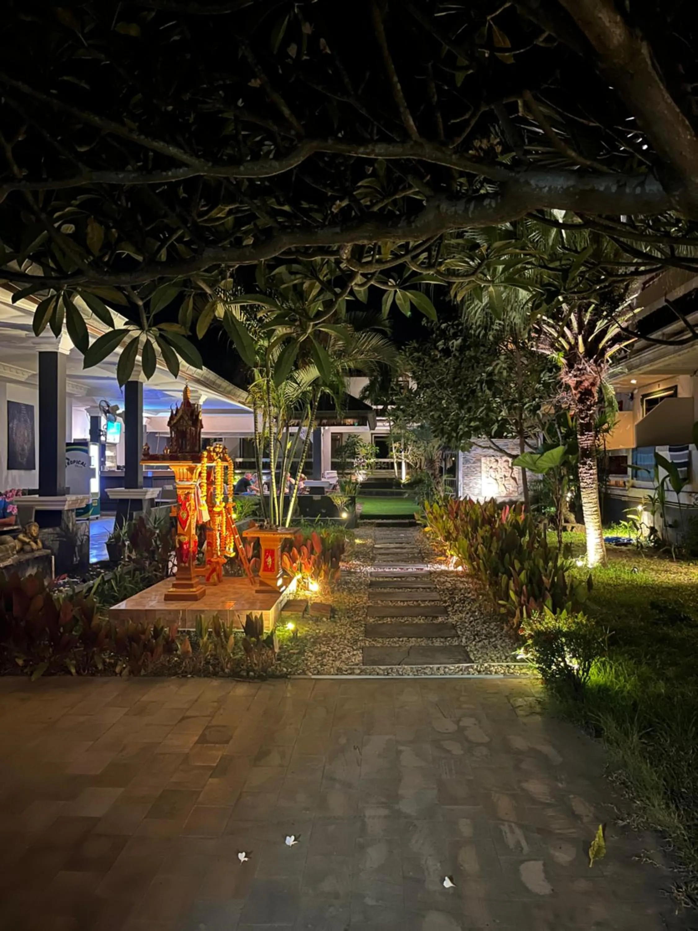 Night in Tropical Palm