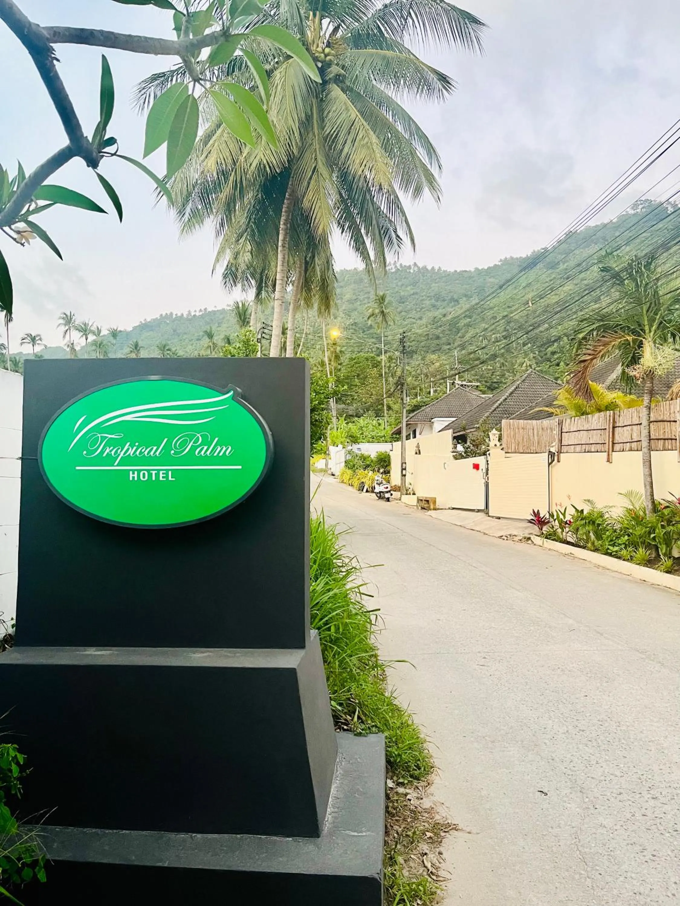 Neighbourhood in Tropical Palm