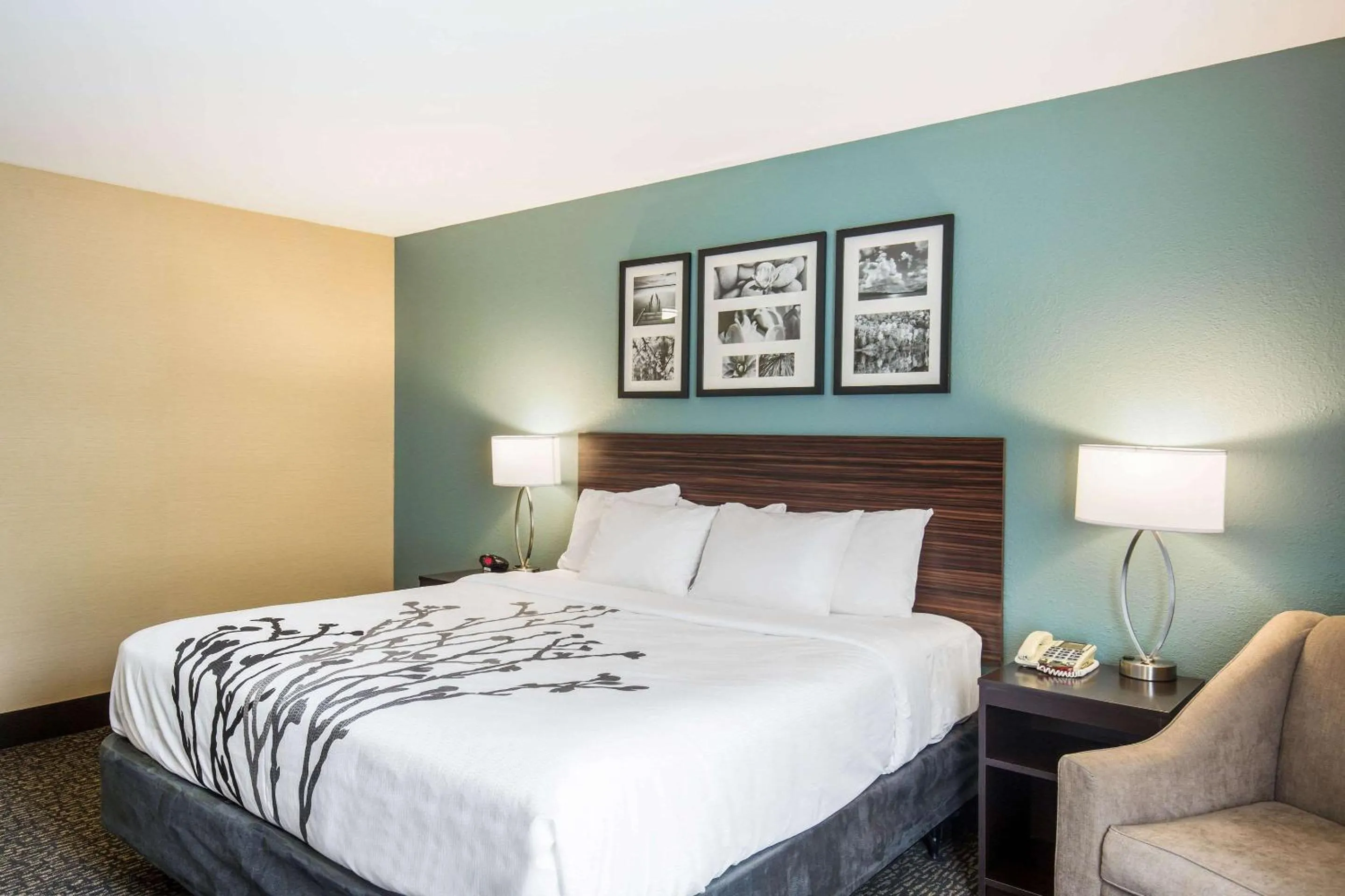 Bedroom, Bed in Sleep Inn & Suites Dunmore