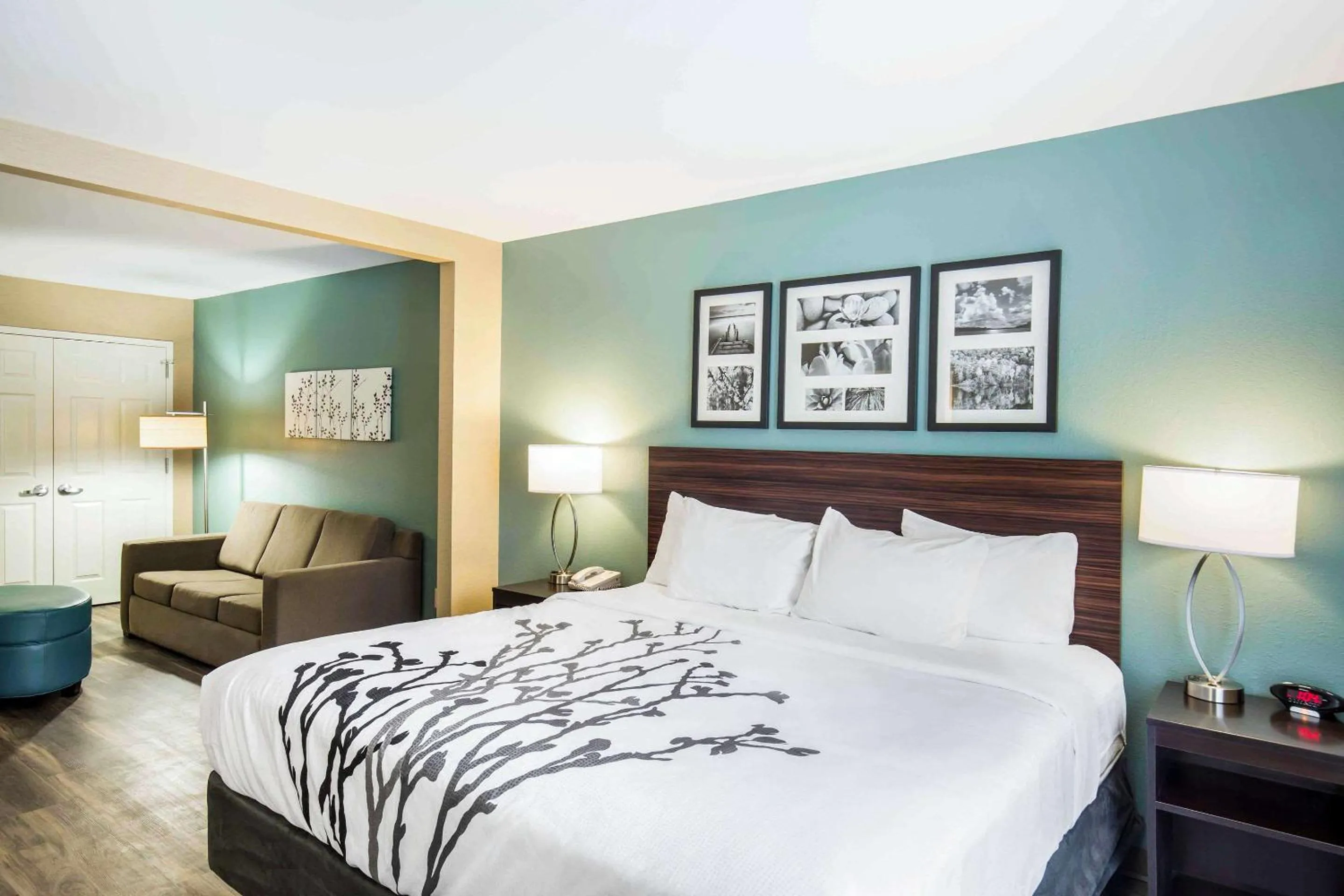 Bedroom, Bed in Sleep Inn & Suites Dunmore