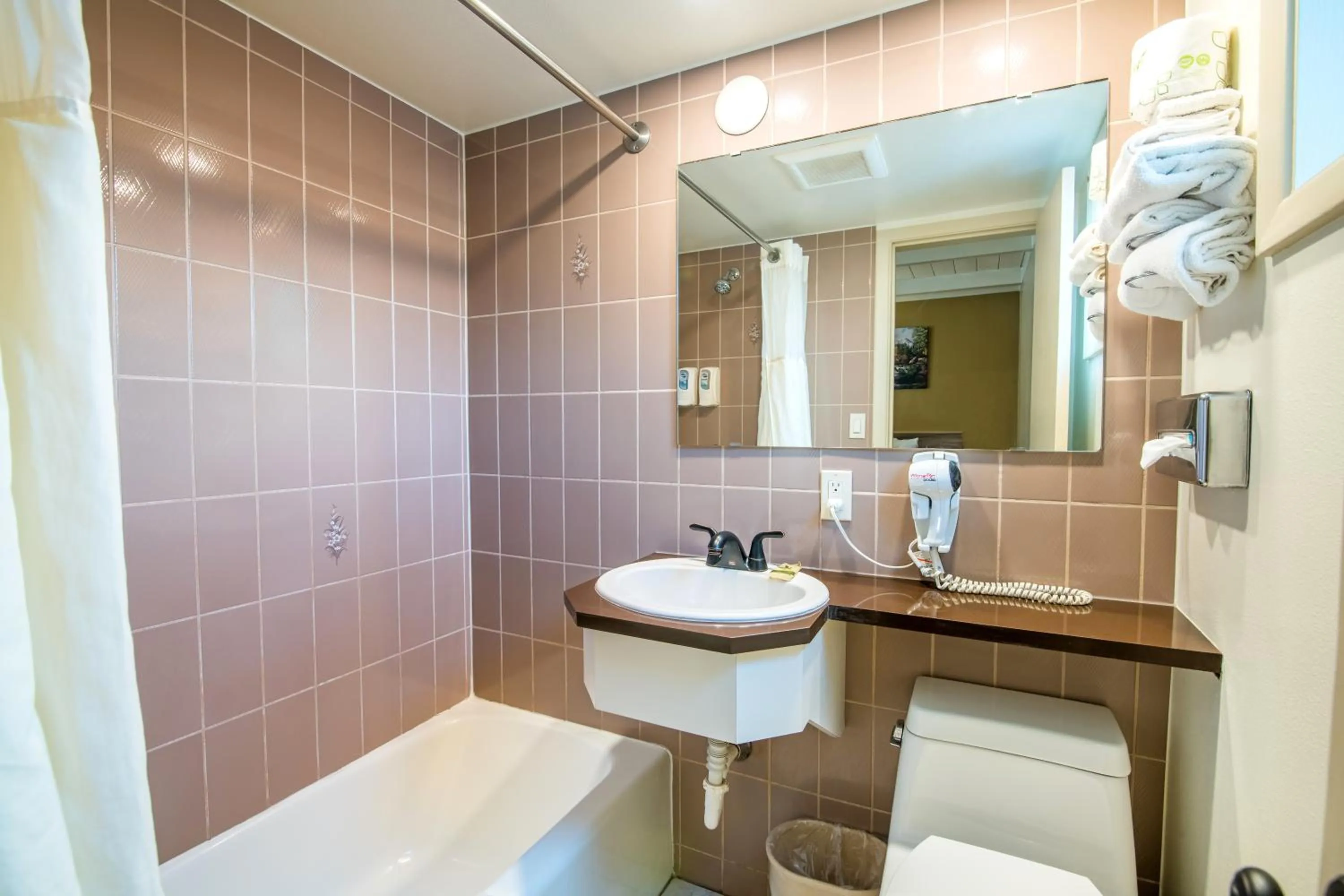 Bathroom in Glenwood Springs Cedar Lodge