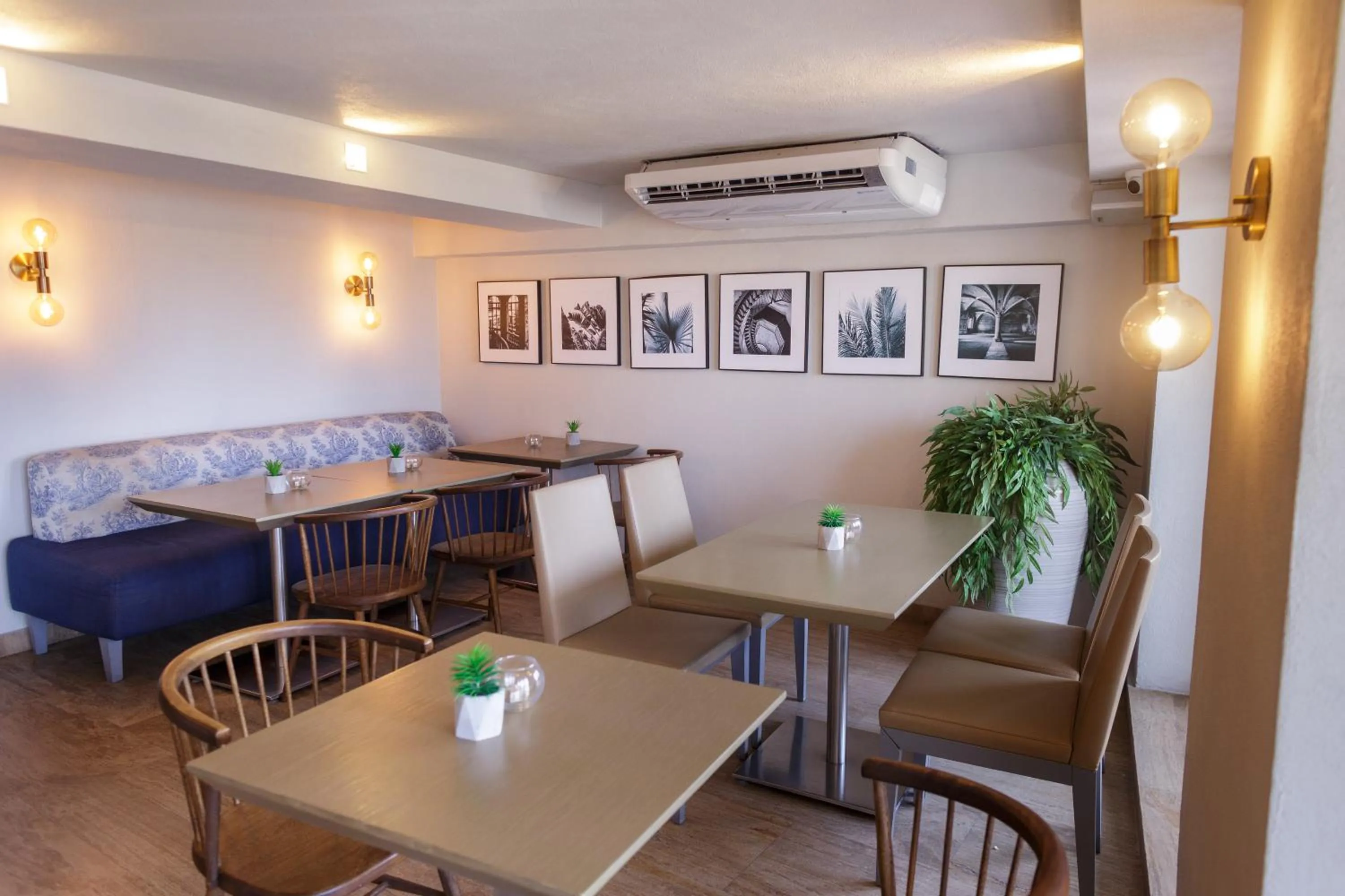 Restaurant/places to eat in Hotel Santa Cecilia B&B