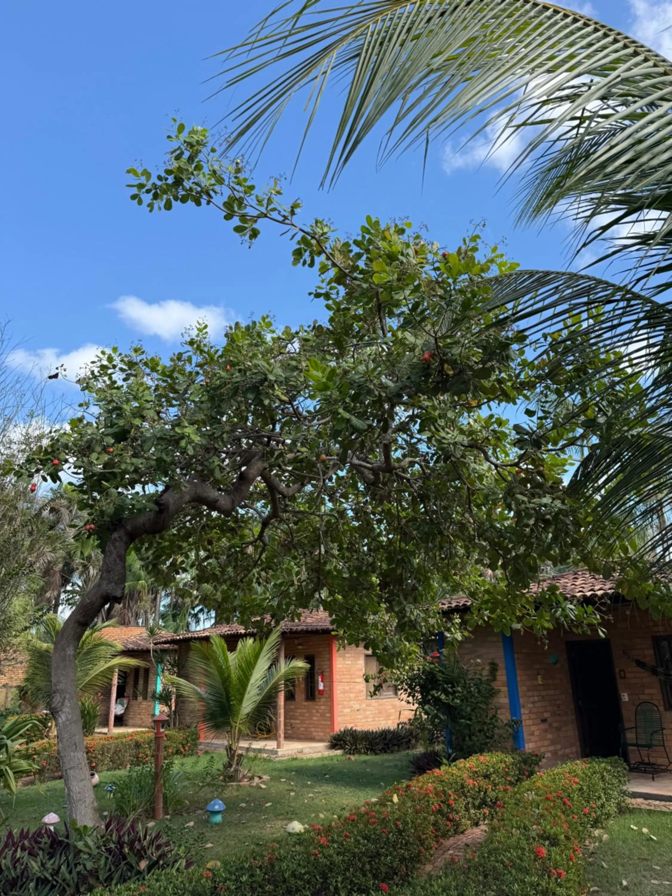 Garden in Pousada do Riacho