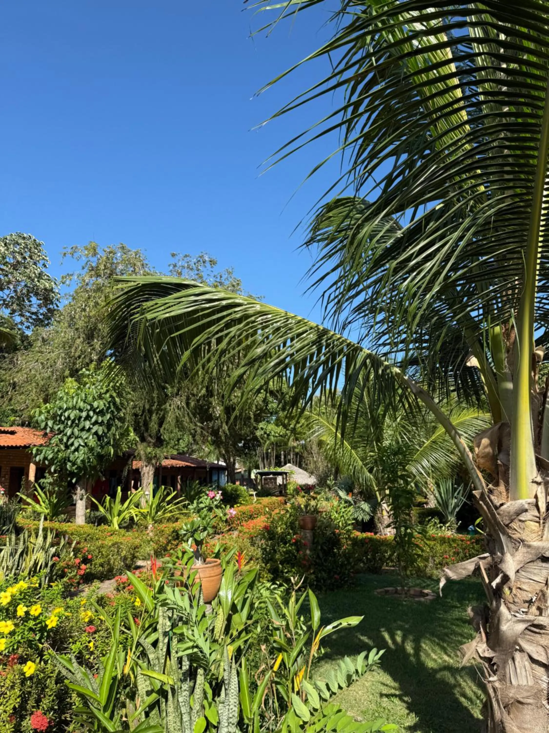 Garden in Pousada do Riacho