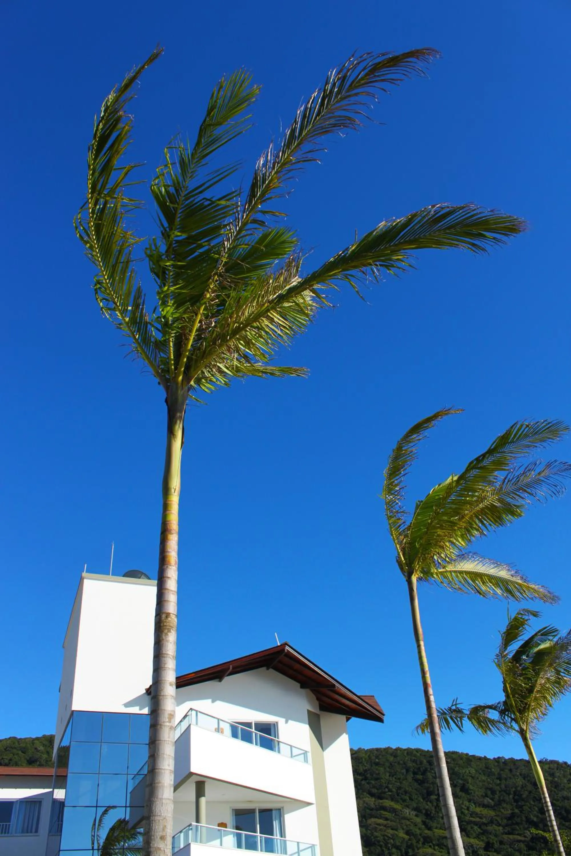 Property building in Reserva Praia Hotel