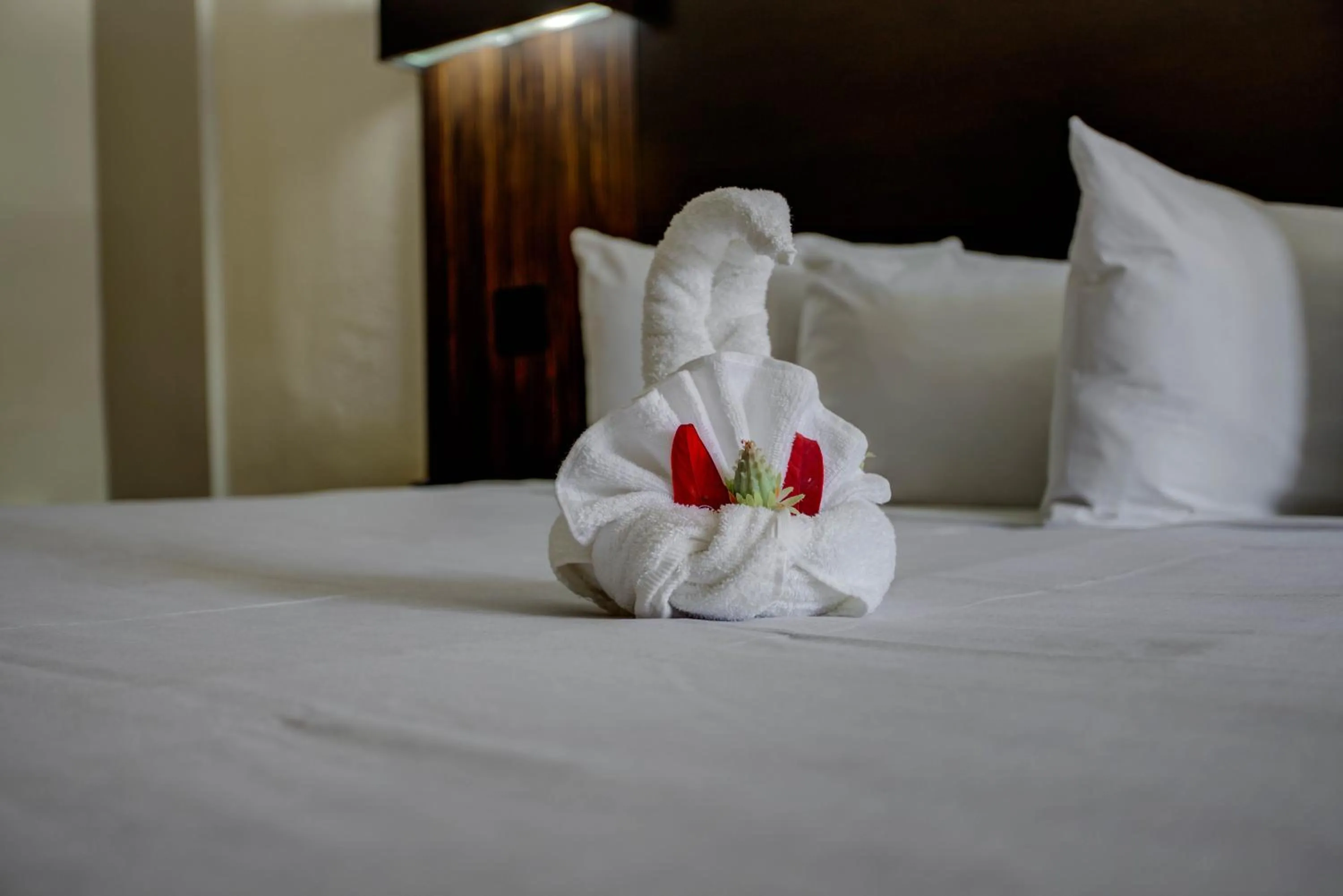 Bed in La Bella Inn - POOL OPEN