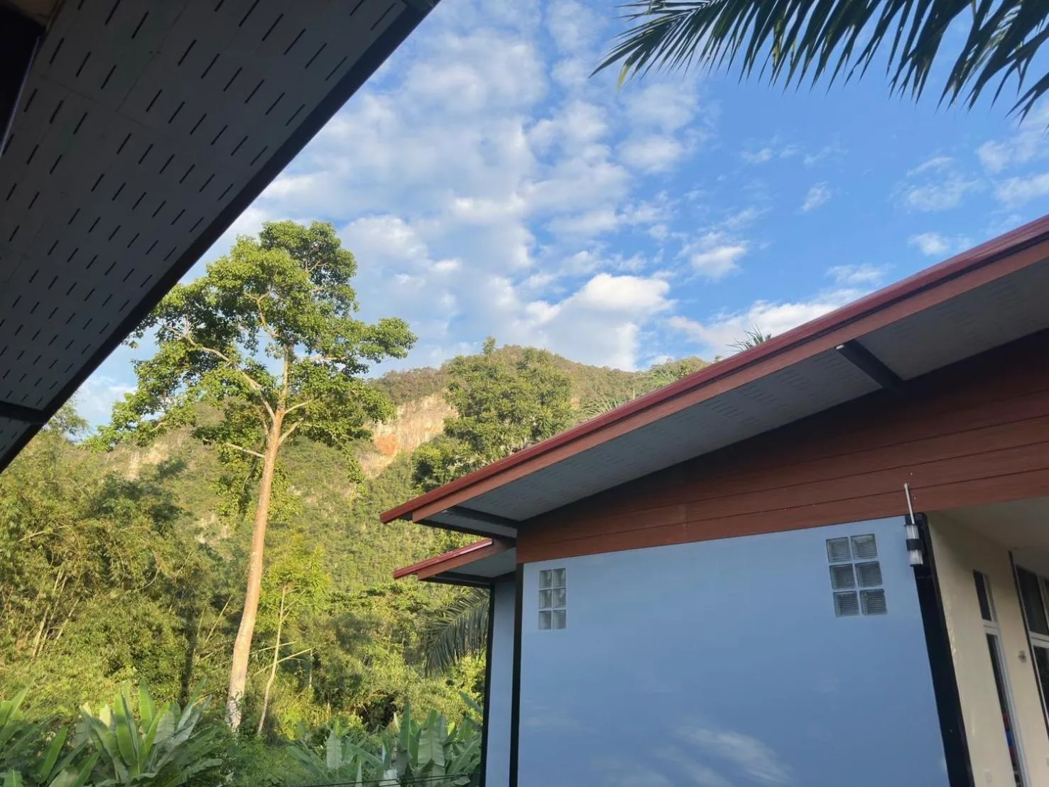 Property building in Khaosok Bamboo Huts Resort