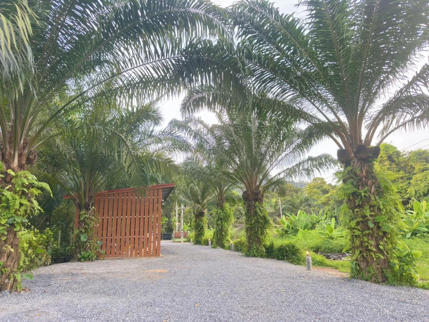 Inner courtyard view in Khaosok Bamboo Huts Resort