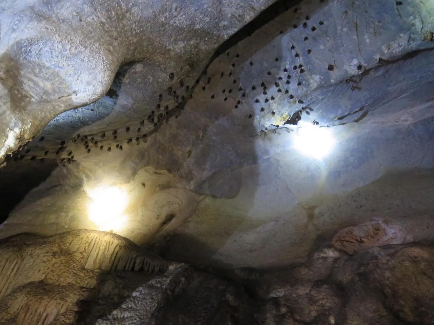 Natural landscape in Khaosok Bamboo Huts Resort