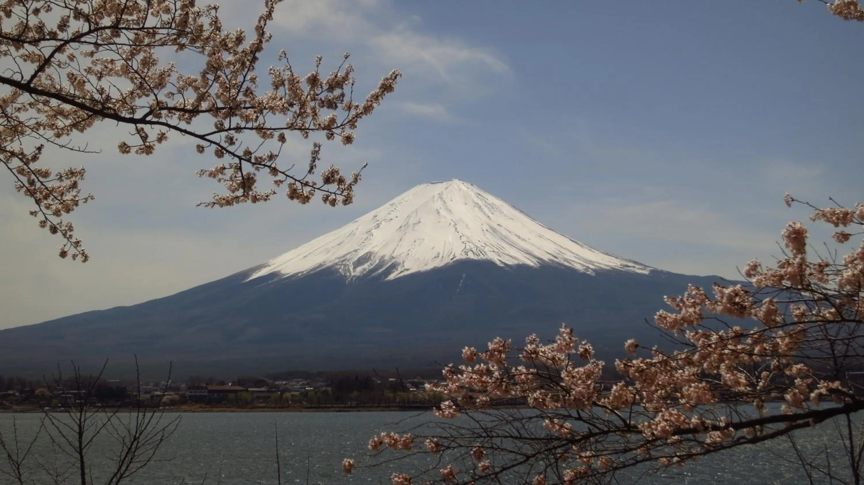 Spring in K's House MtFuji -ケイズハウスMt富士- Travelers Hostel- Lake Kawaguchiko