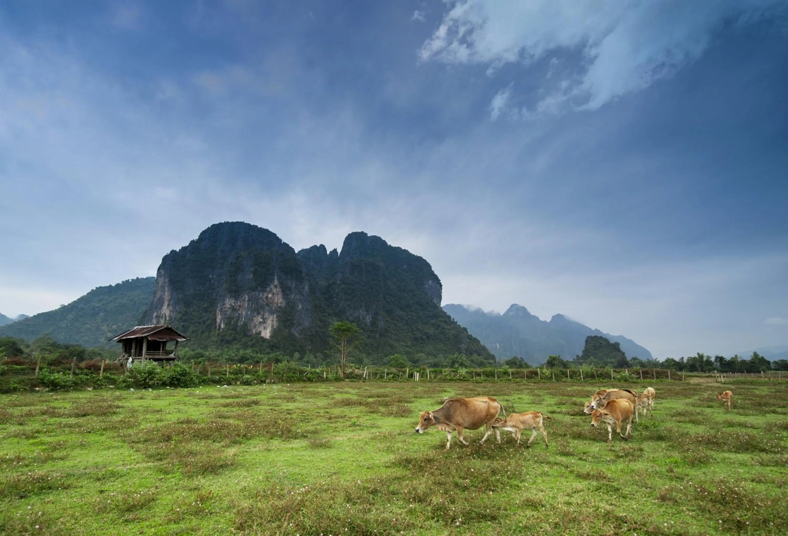 Area and facilities in Amari Vang Vieng