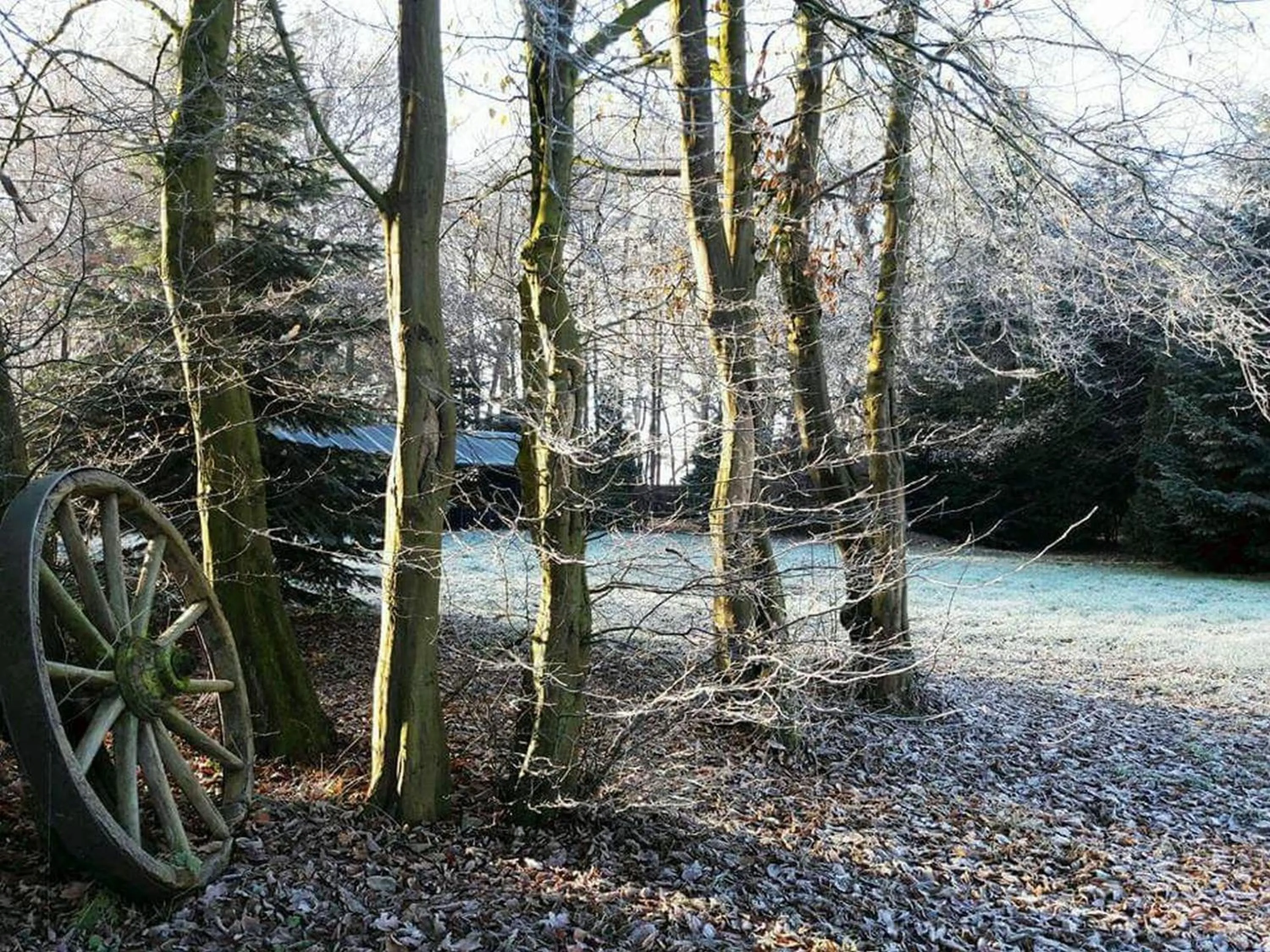 Natural landscape in Zur Schanze Holtgast-Apen