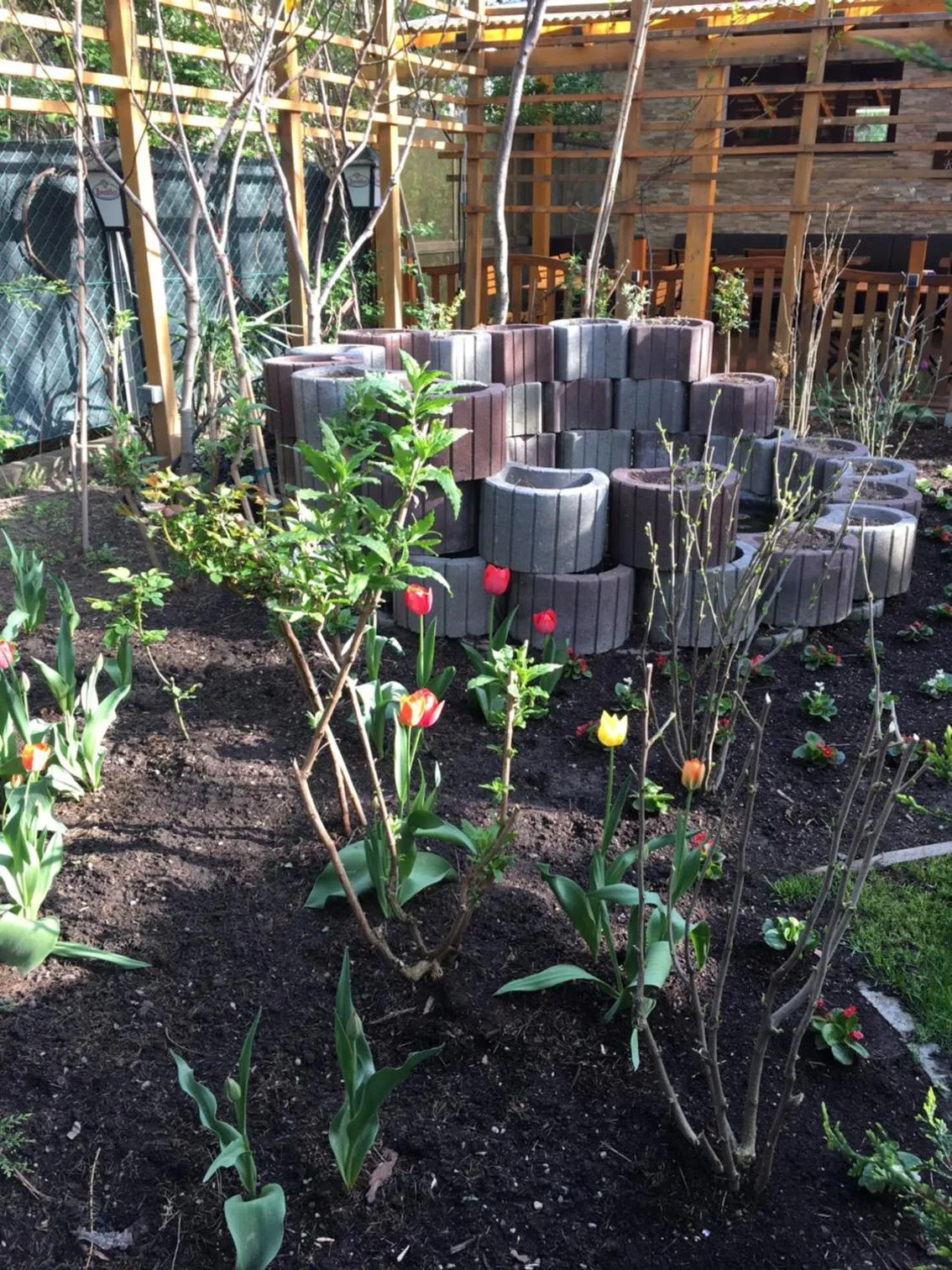 Patio in Hotel - Restaurant Valley Rose