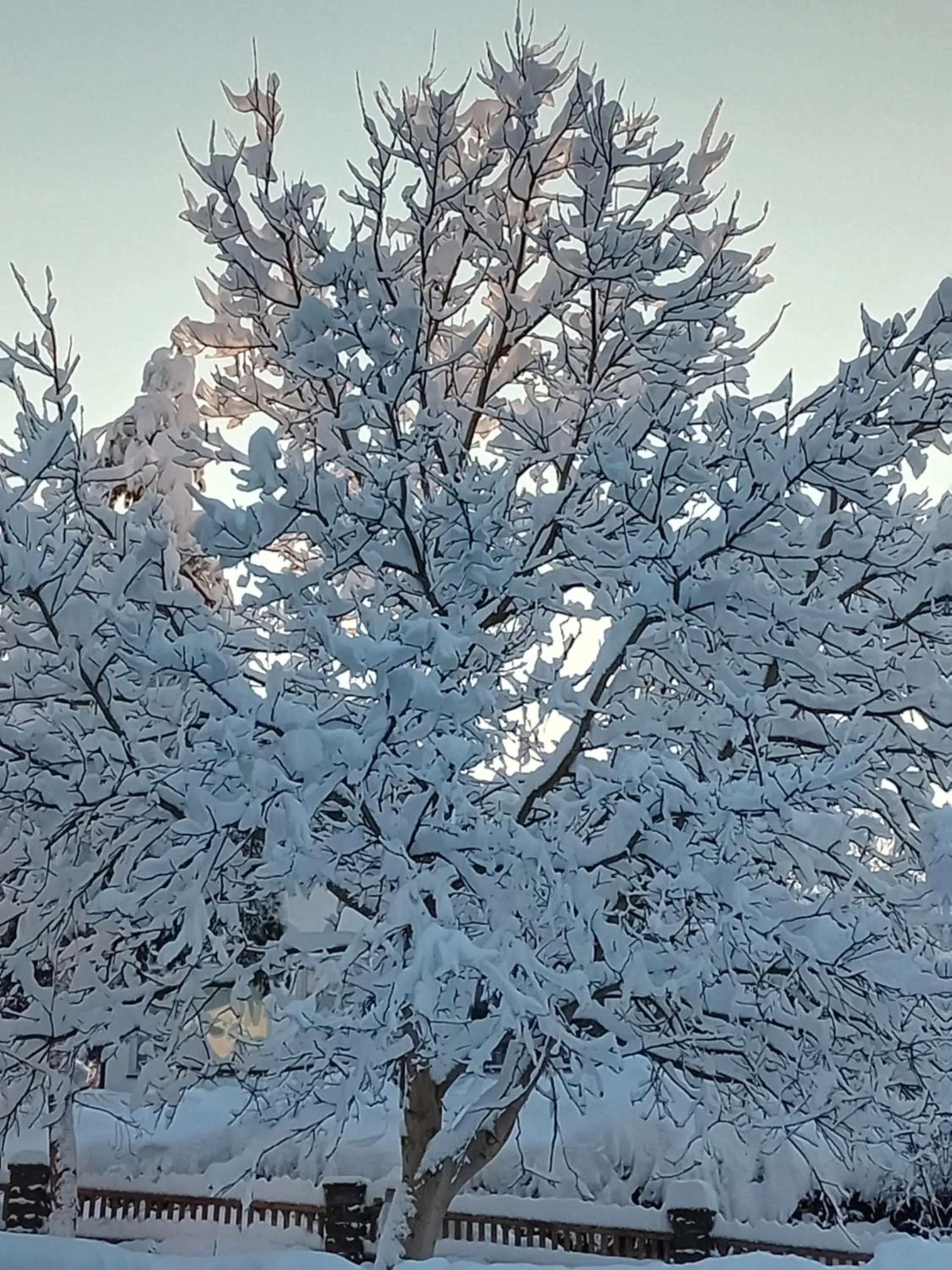 Natural landscape in Gasthaus zur Moosmühle