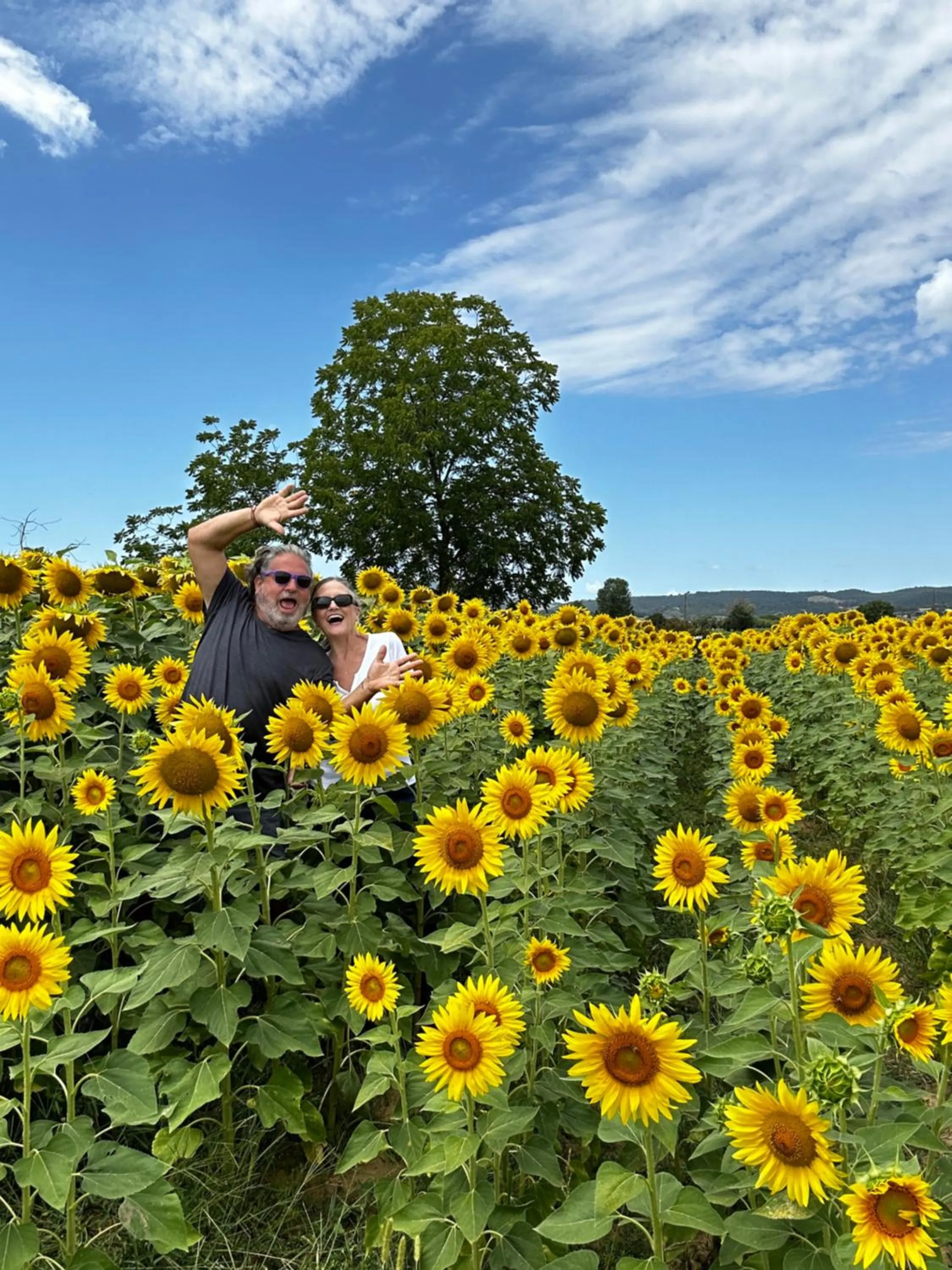 View (from property/room) in LaChiusa Tuscany