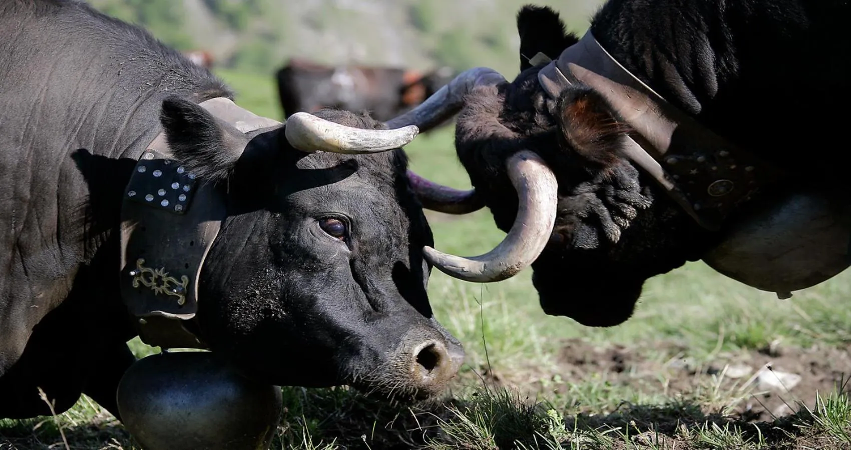 Activities in Grand Hôtel & Kurhaus