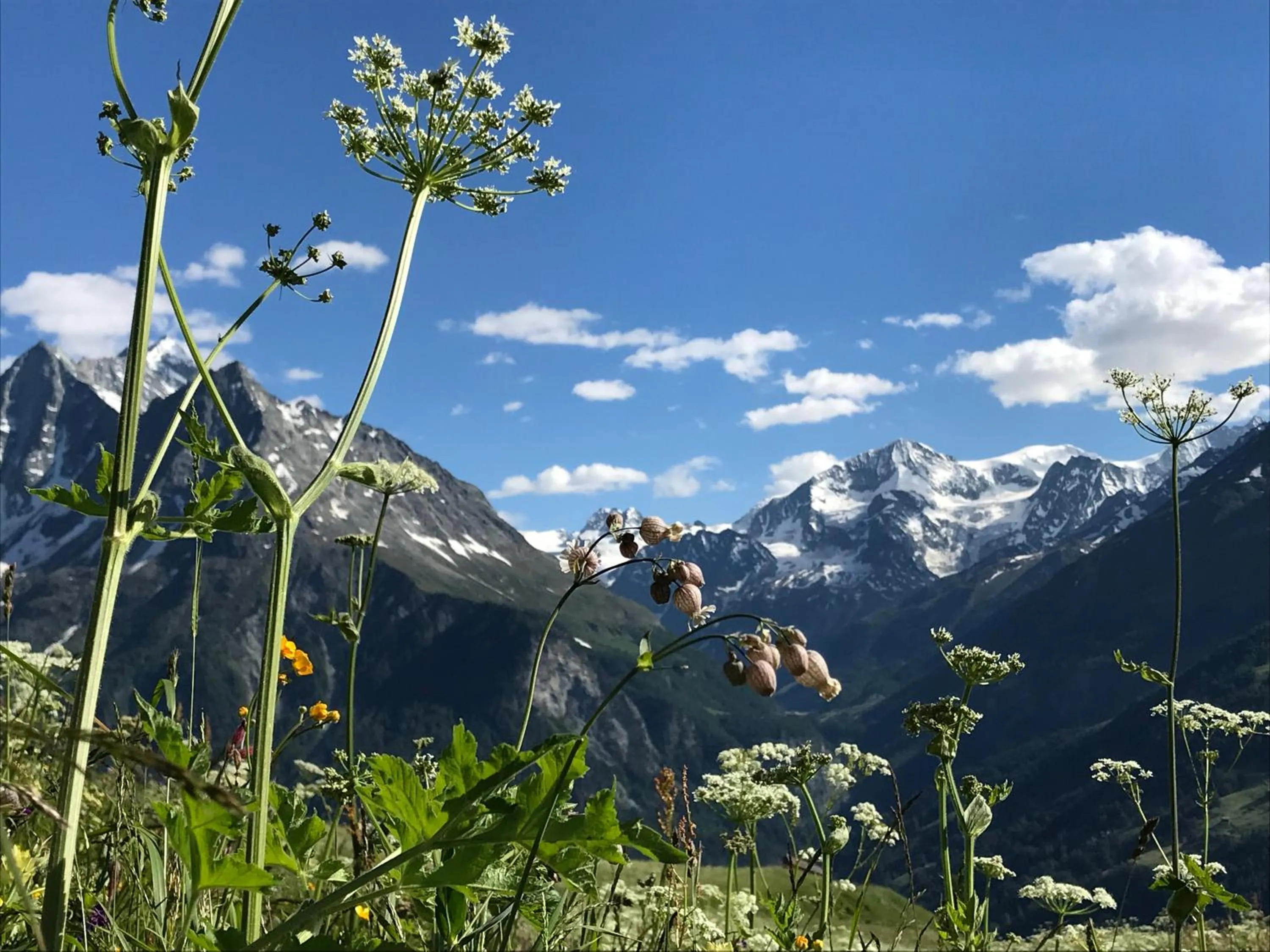 Natural landscape in Grand Hôtel & Kurhaus