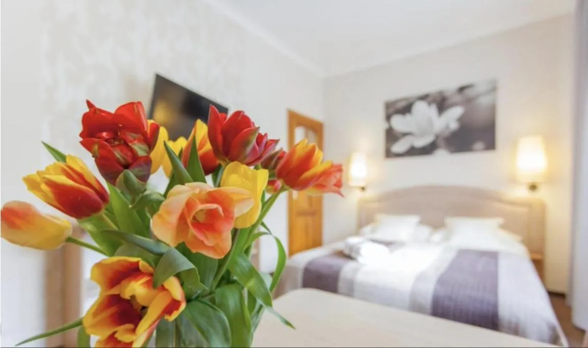 Villa Anna - Noclegi Rooms - FREE parking, taras, 1500m do Starówki
