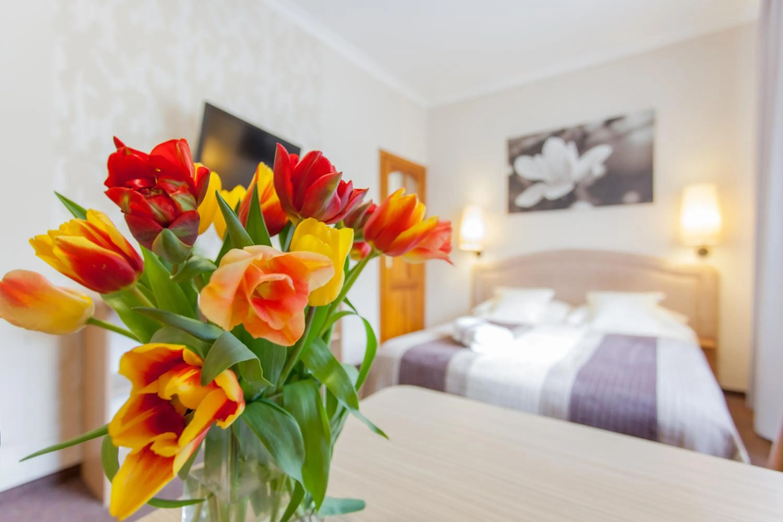 Bed in Villa Anna - Noclegi Rooms - FREE parking, taras, 1500m do Starówki