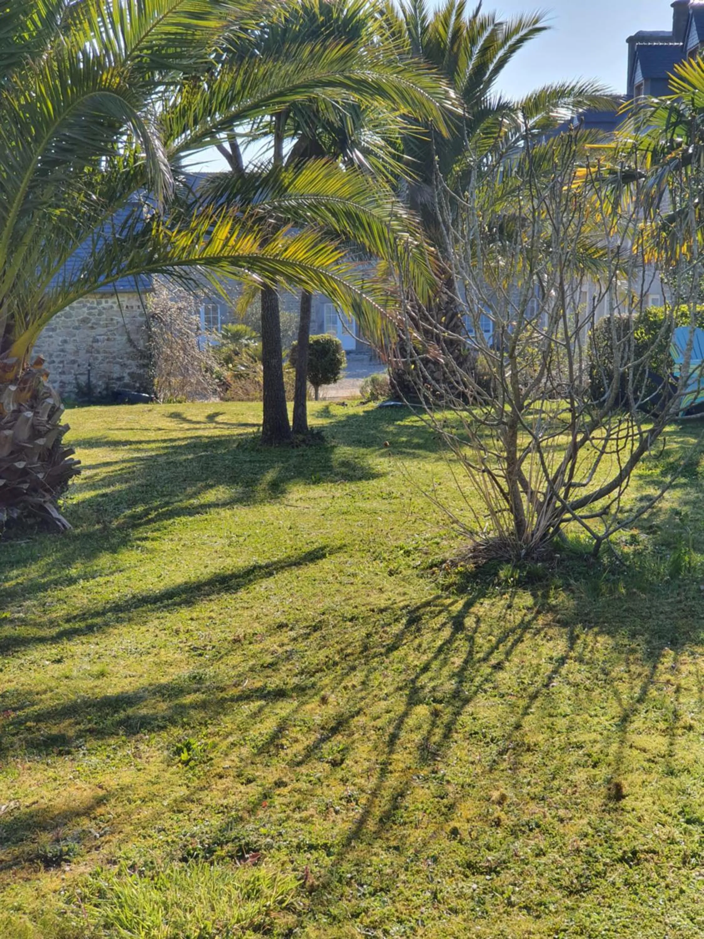 Garden in Chambres du logis De La Mare Du Parc