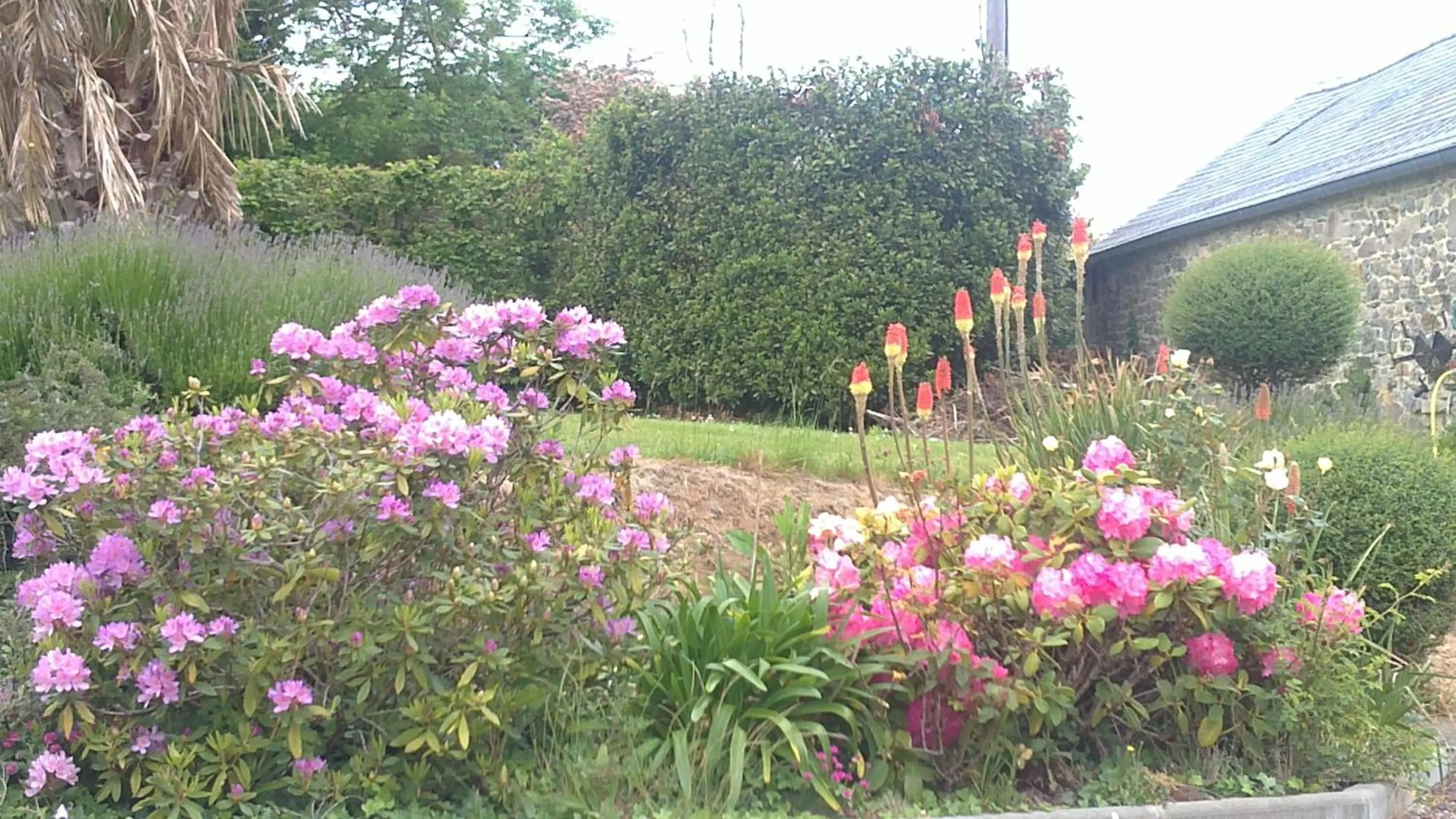Garden in Chambres du logis De La Mare Du Parc