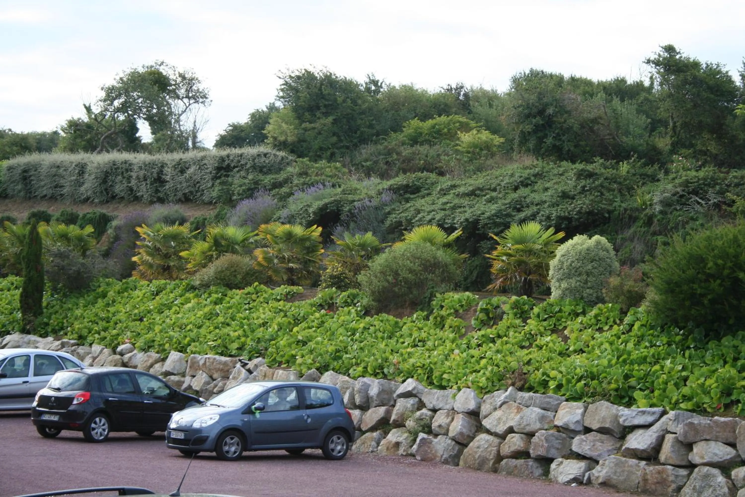 View (from property/room) in Chambres du logis De La Mare Du Parc