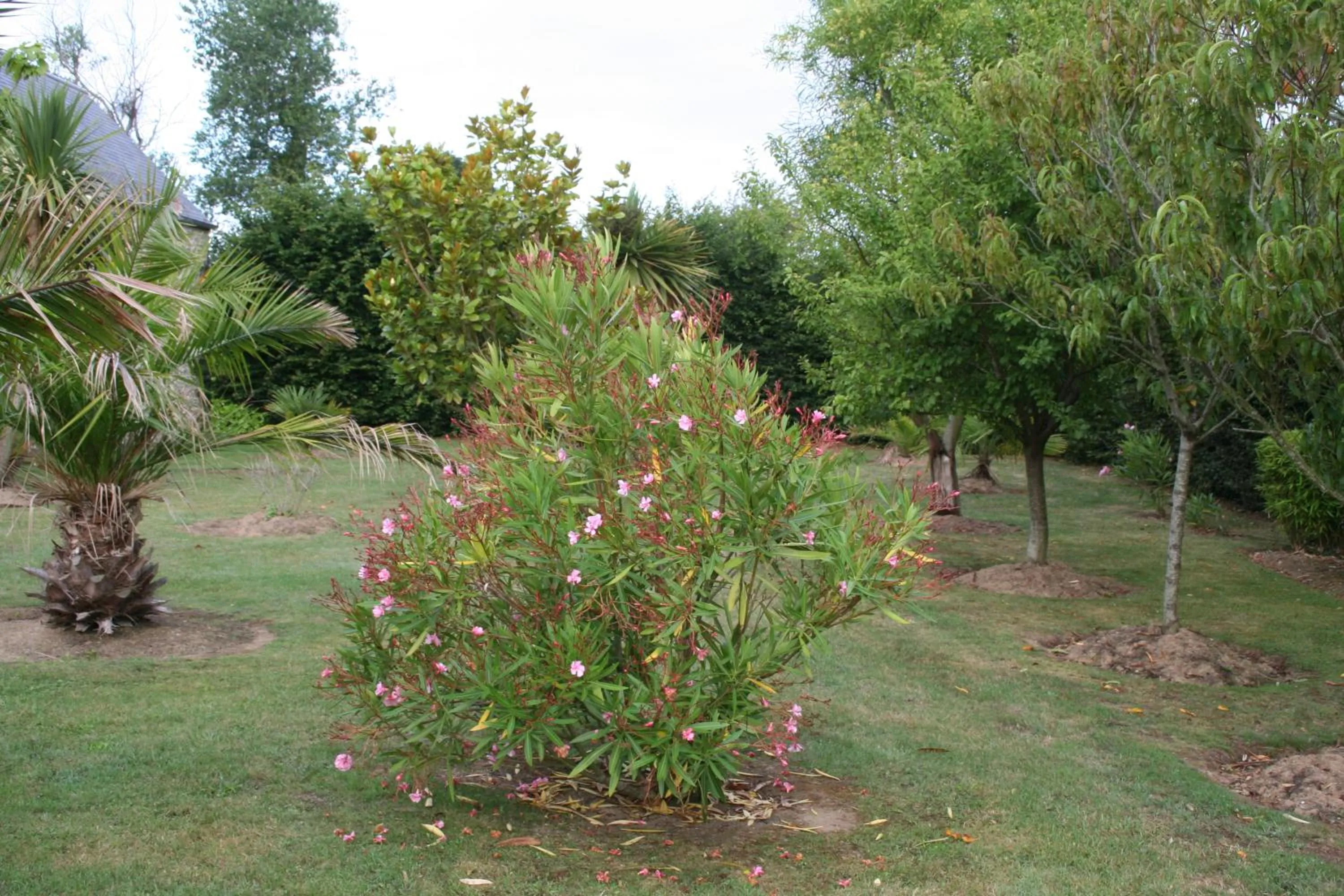 Garden in Chambres du logis De La Mare Du Parc