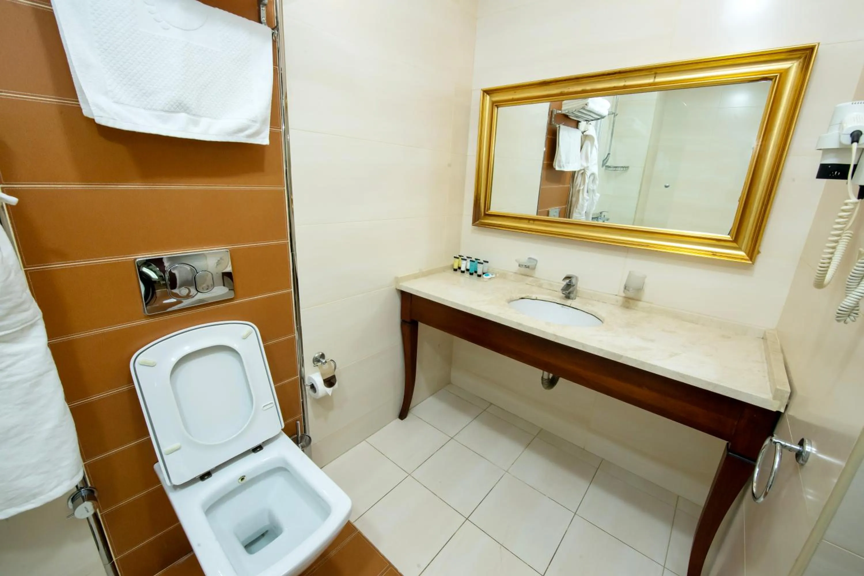 Toilet in Atropat Old City Hotel