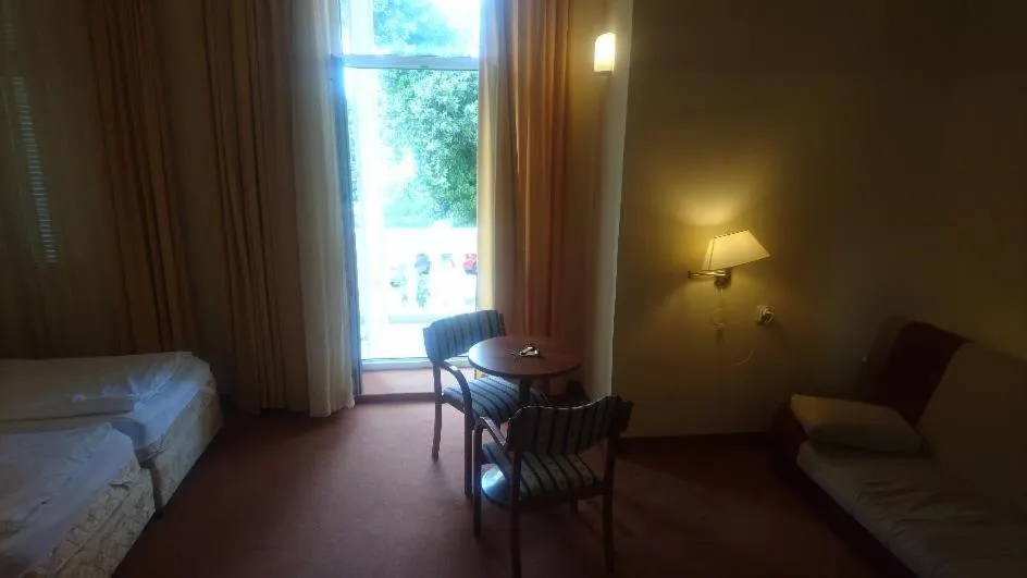 Bed in Hotel Vila Ružica- glavna zgrada i depandanse