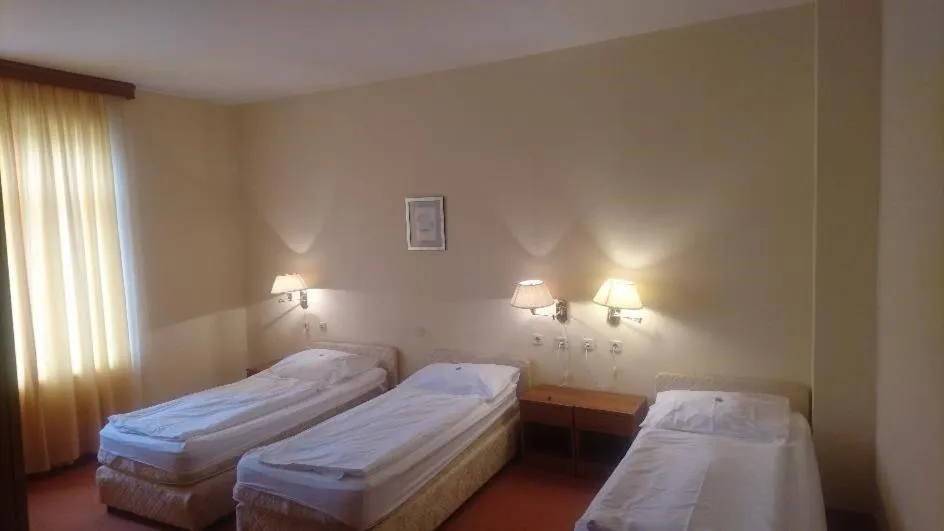 Bed in Hotel Vila Ružica- glavna zgrada i depandanse