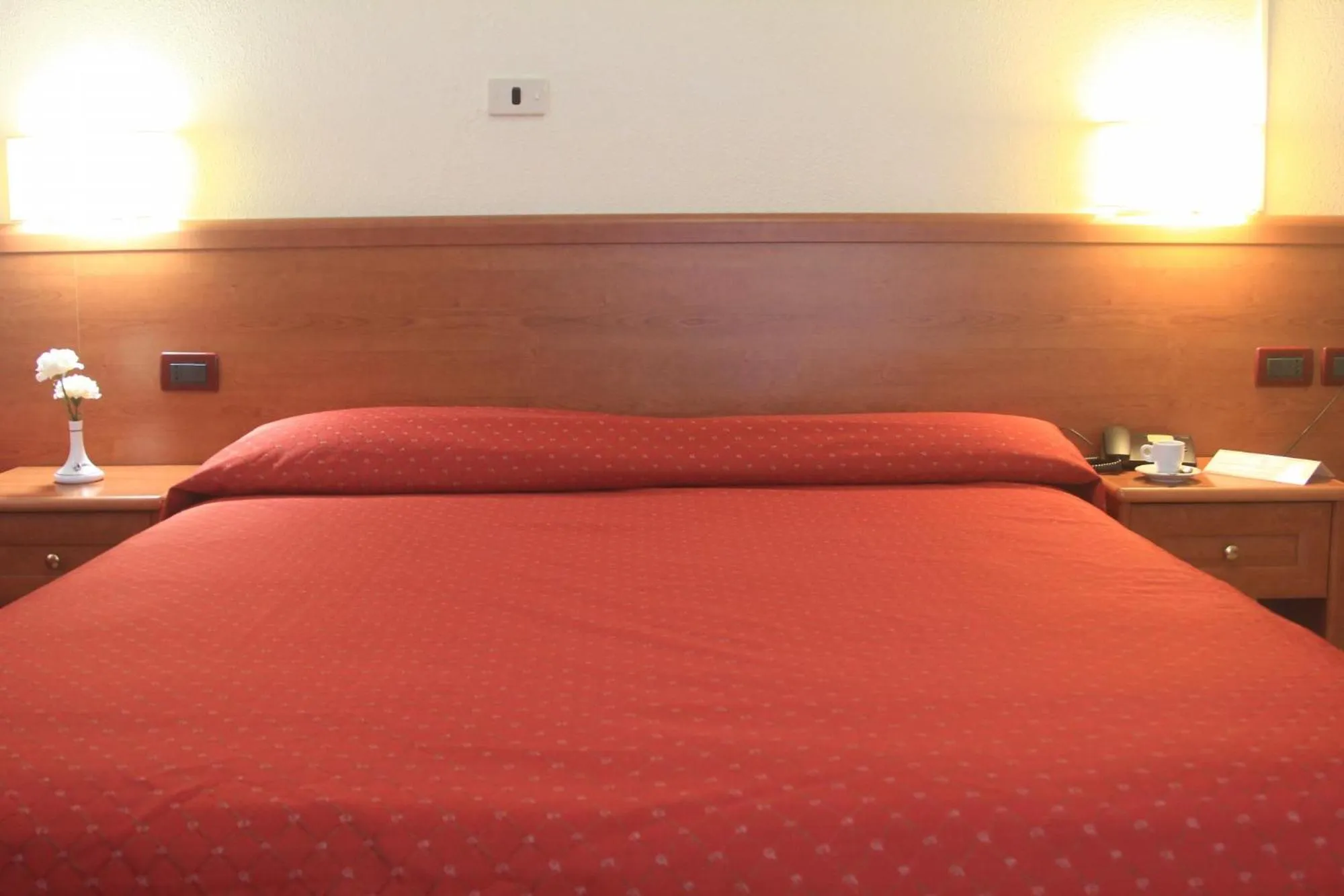 Photo of the whole room in Hotel Miramare