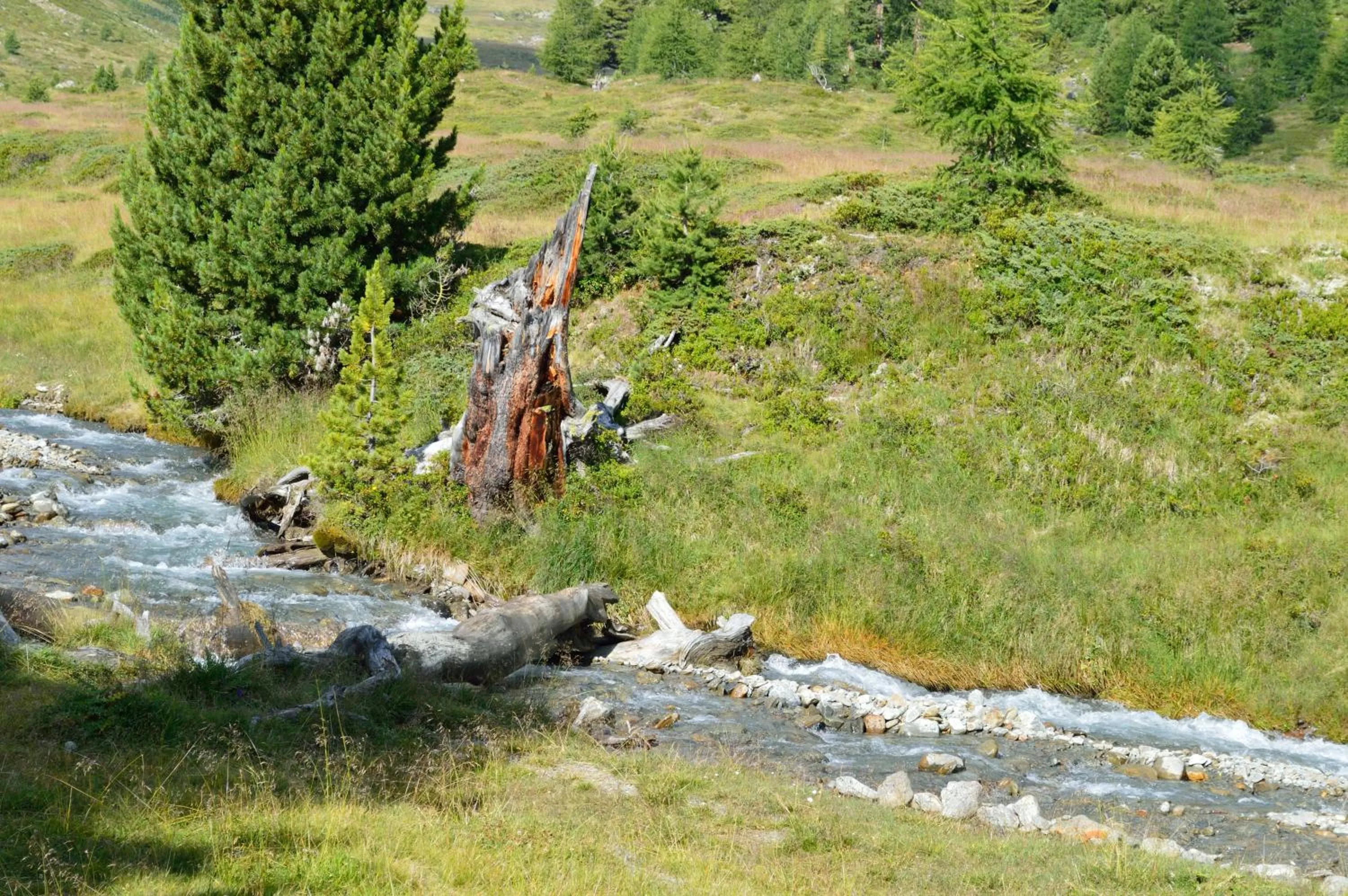 Natural landscape in Berghotel Tyrol