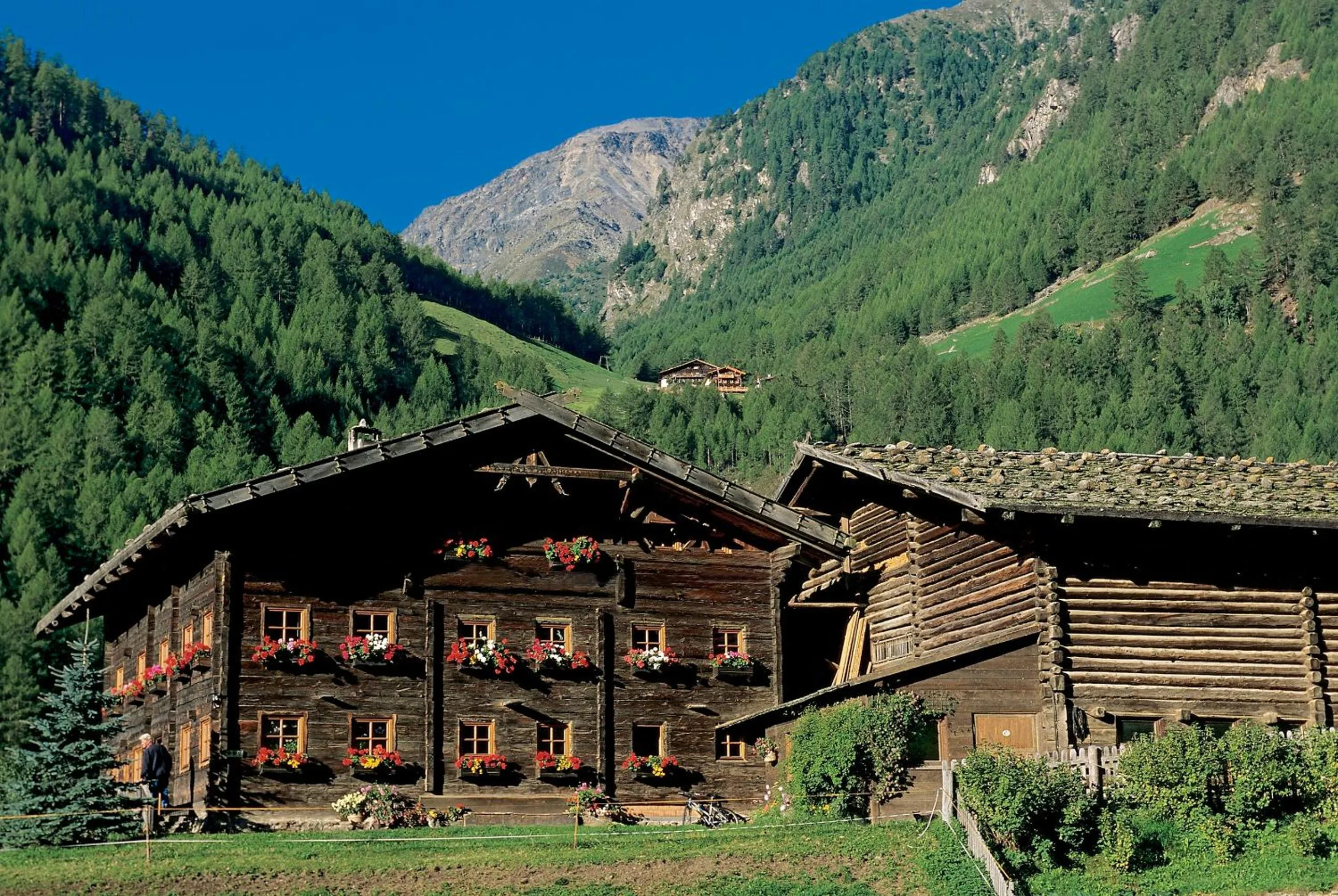 Area and facilities in Berghotel Tyrol
