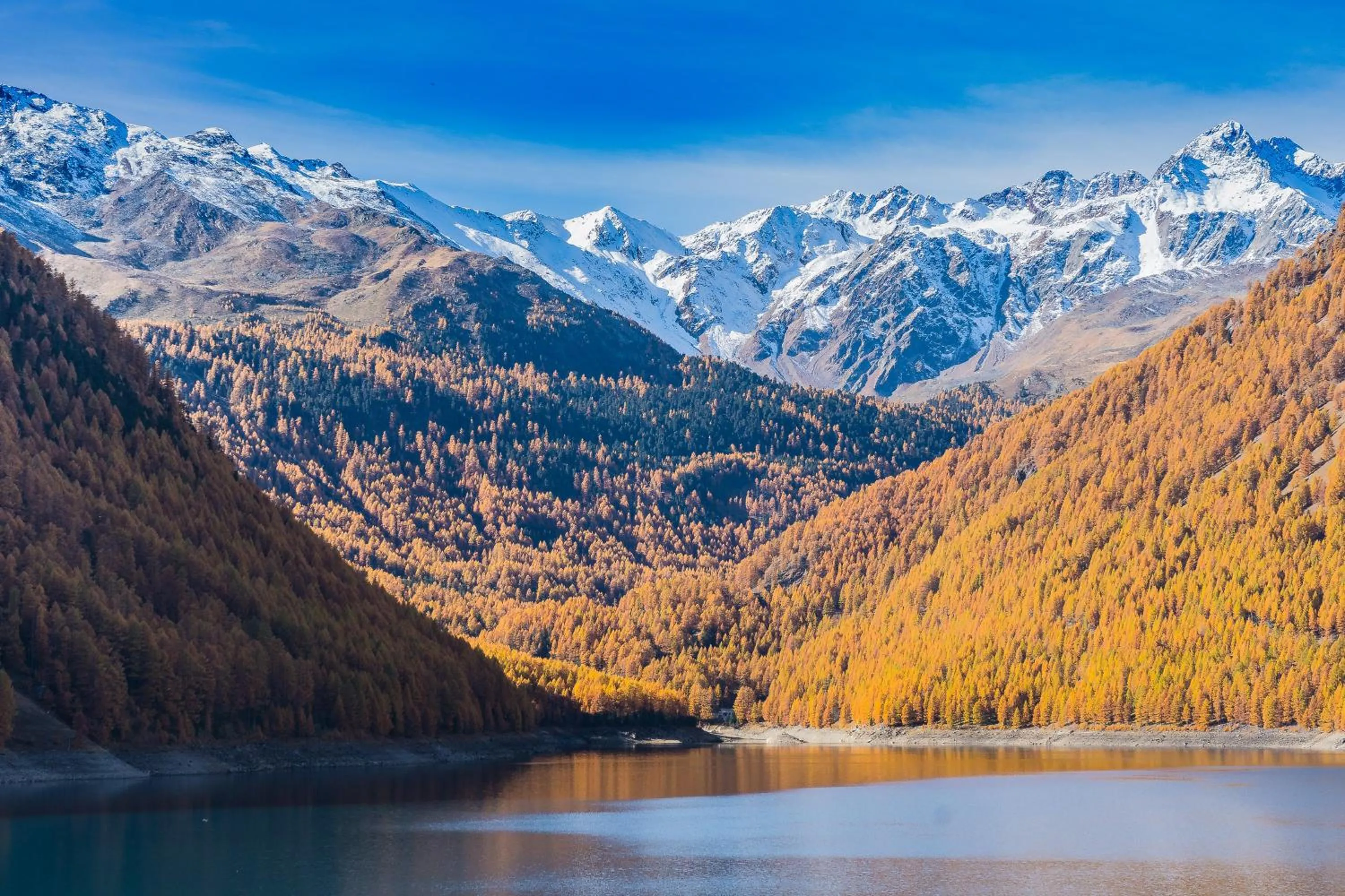 Natural landscape in Berghotel Tyrol