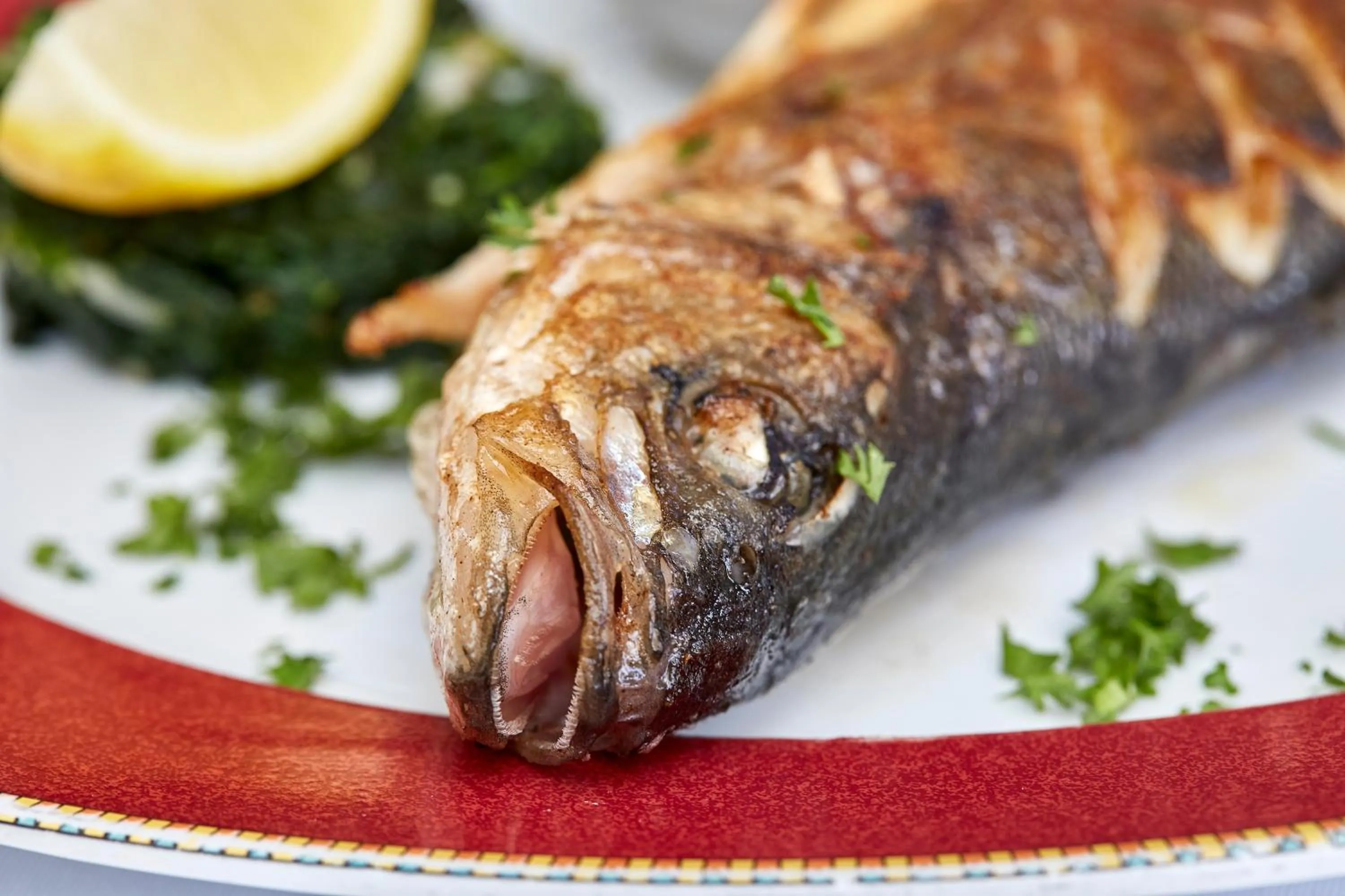 Restaurant/places to eat in Parkhotel Schwert