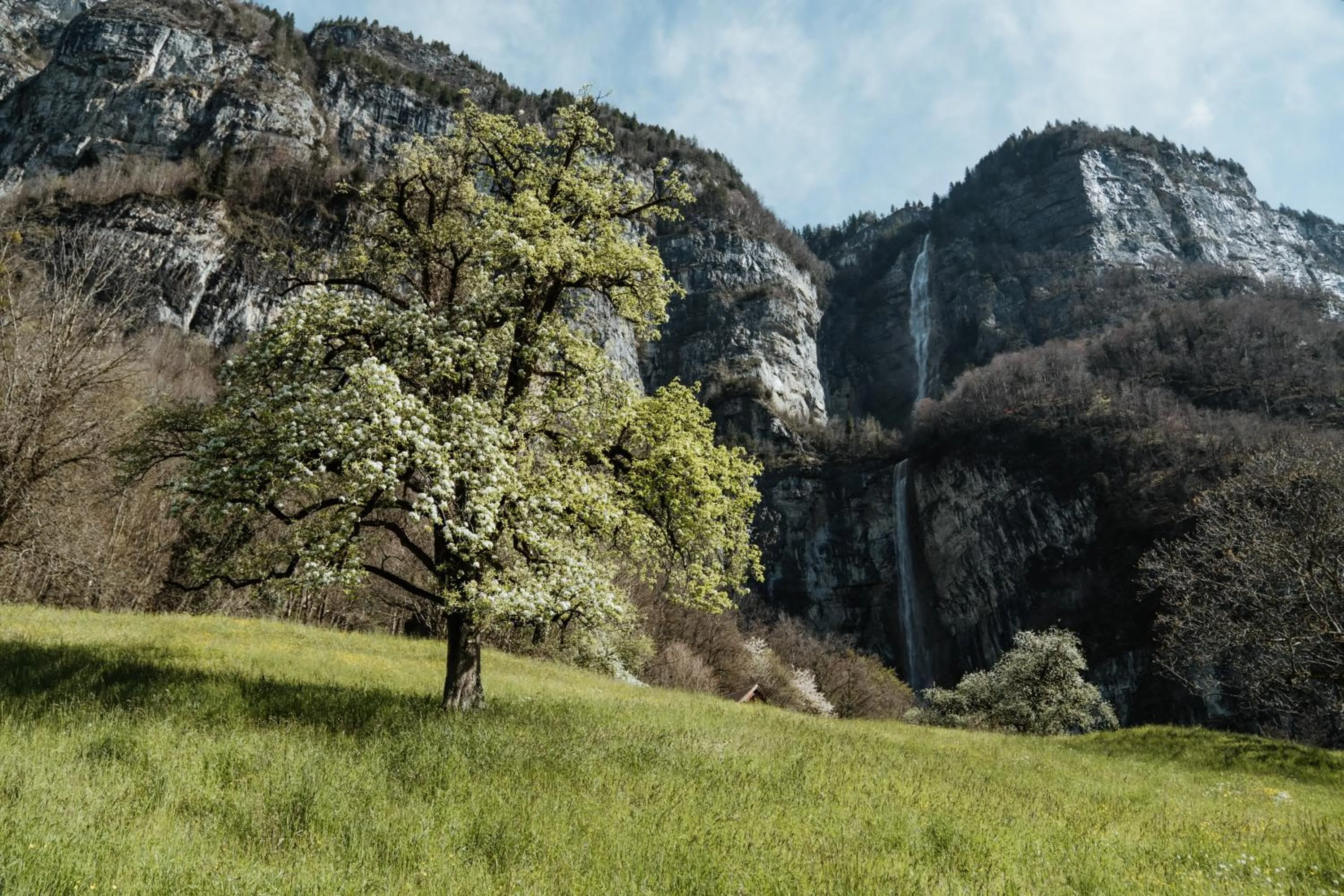 Hiking in Parkhotel Schwert
