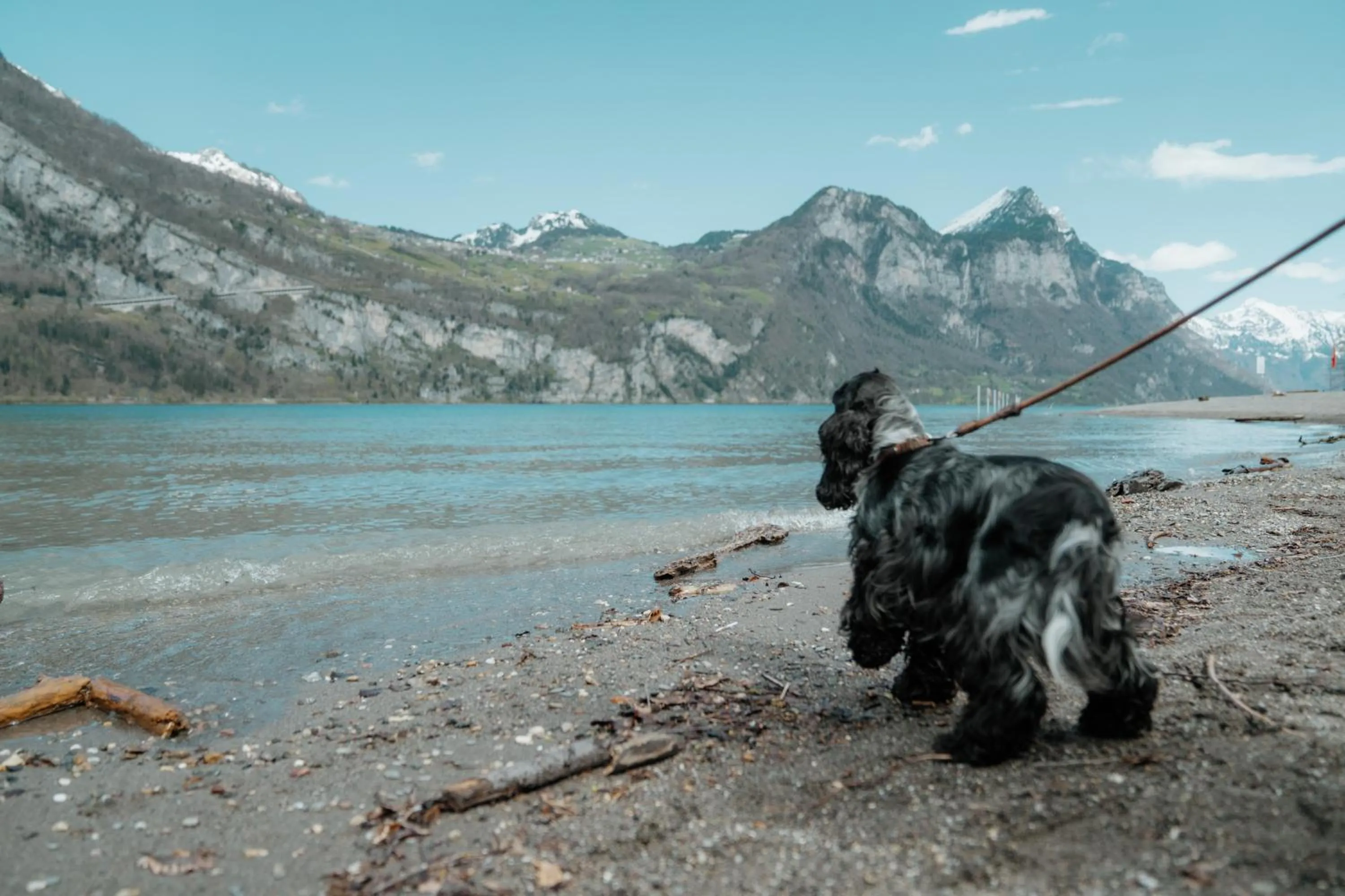 Hiking in Parkhotel Schwert