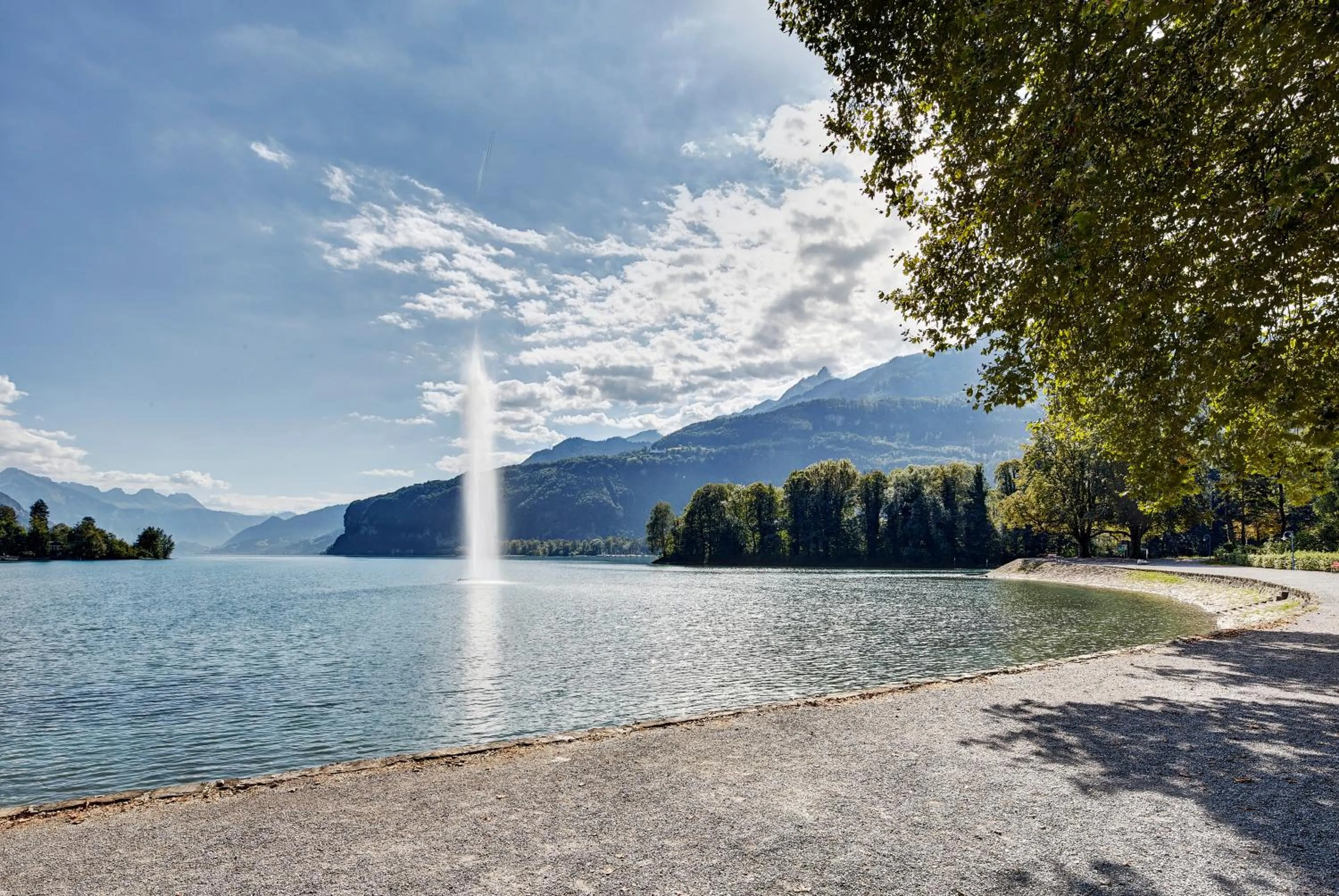 Area and facilities in Parkhotel Schwert