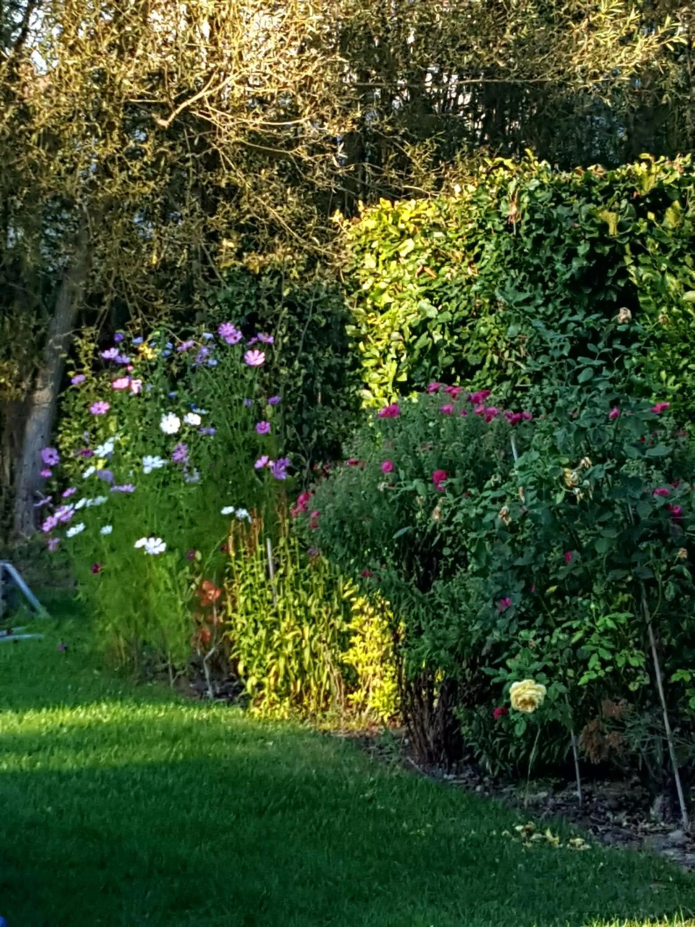 Garden in Au Fond des Rys