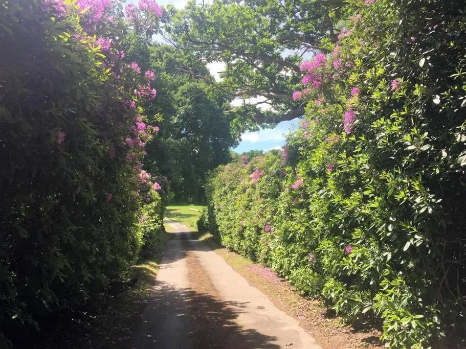 Ockhams Farm Guest House