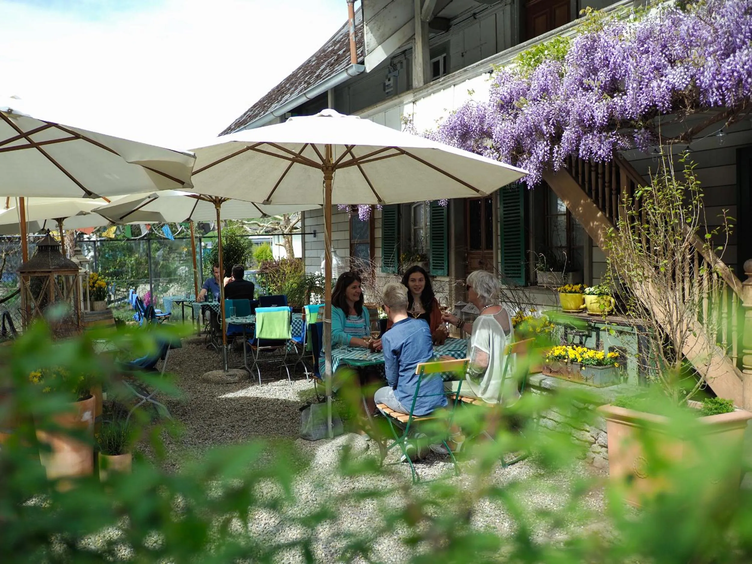 Restaurant/places to eat in Landgasthof Bären