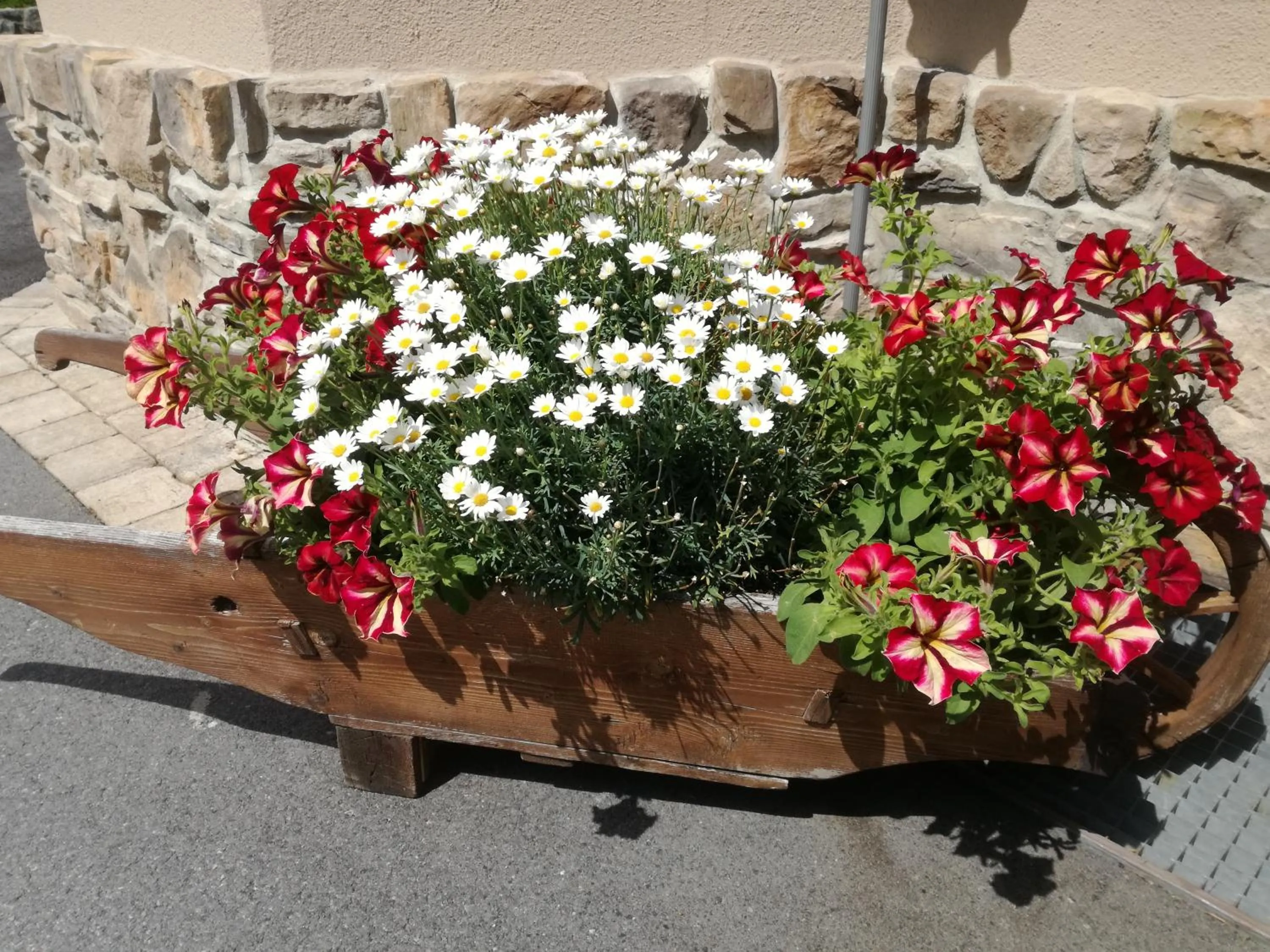 Garden view in Hotel Garni Apart TINA