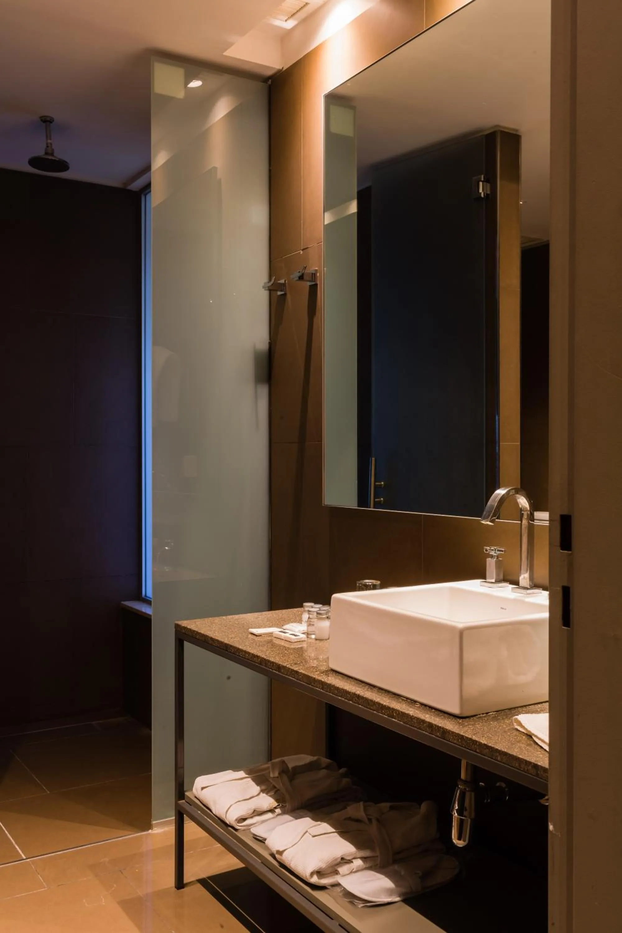 Toilet in Esplendor by Wyndham Mendoza