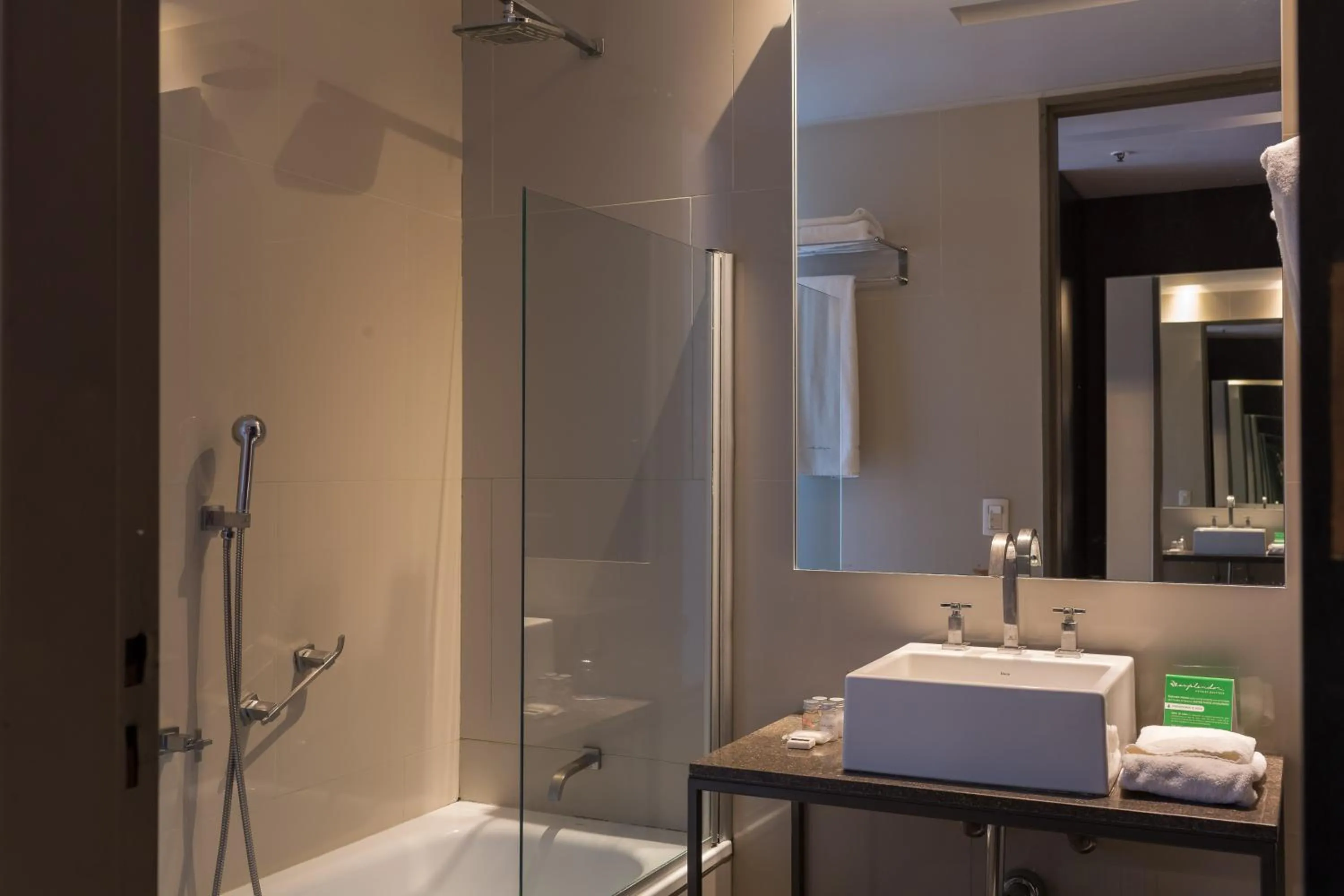 Toilet in Esplendor by Wyndham Mendoza