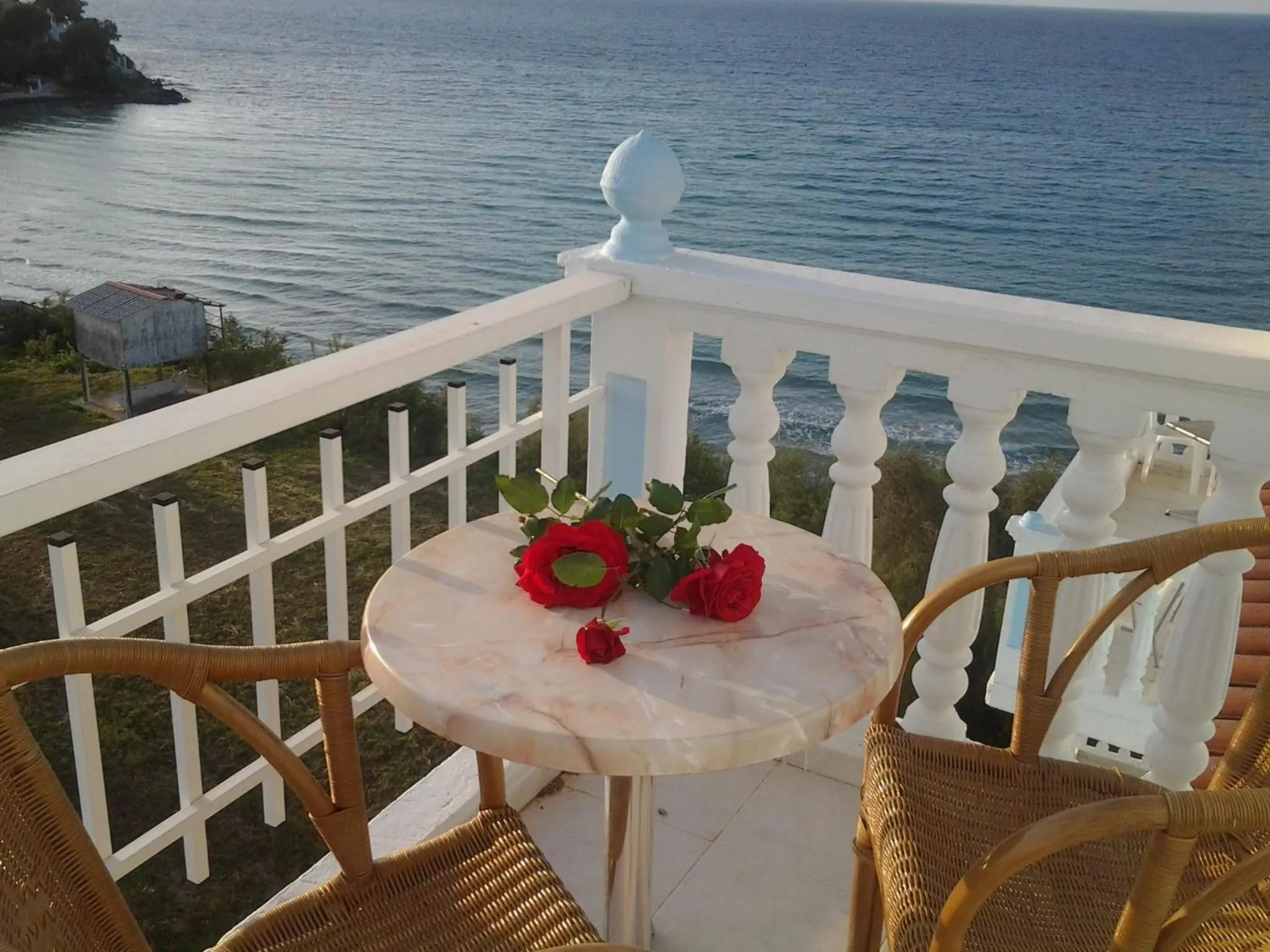 View (from property/room) in Clear Horizon