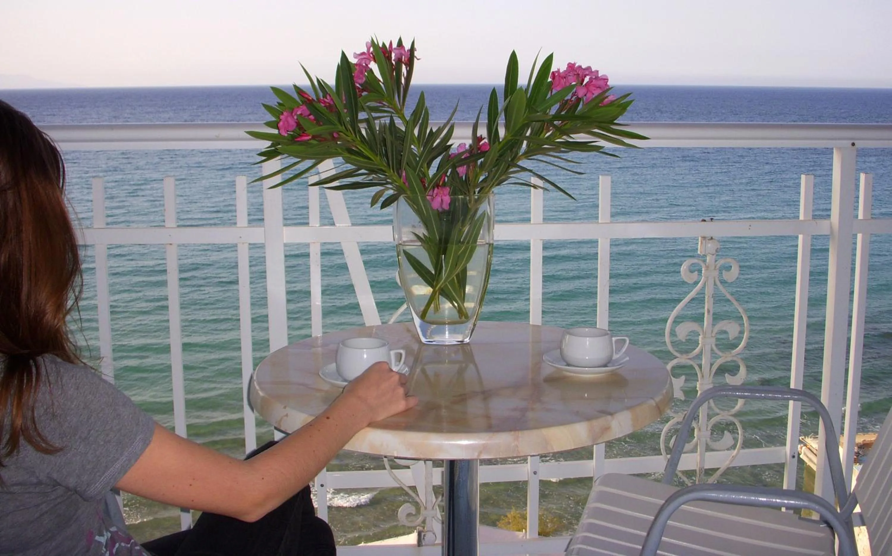 Balcony/Terrace in Clear Horizon