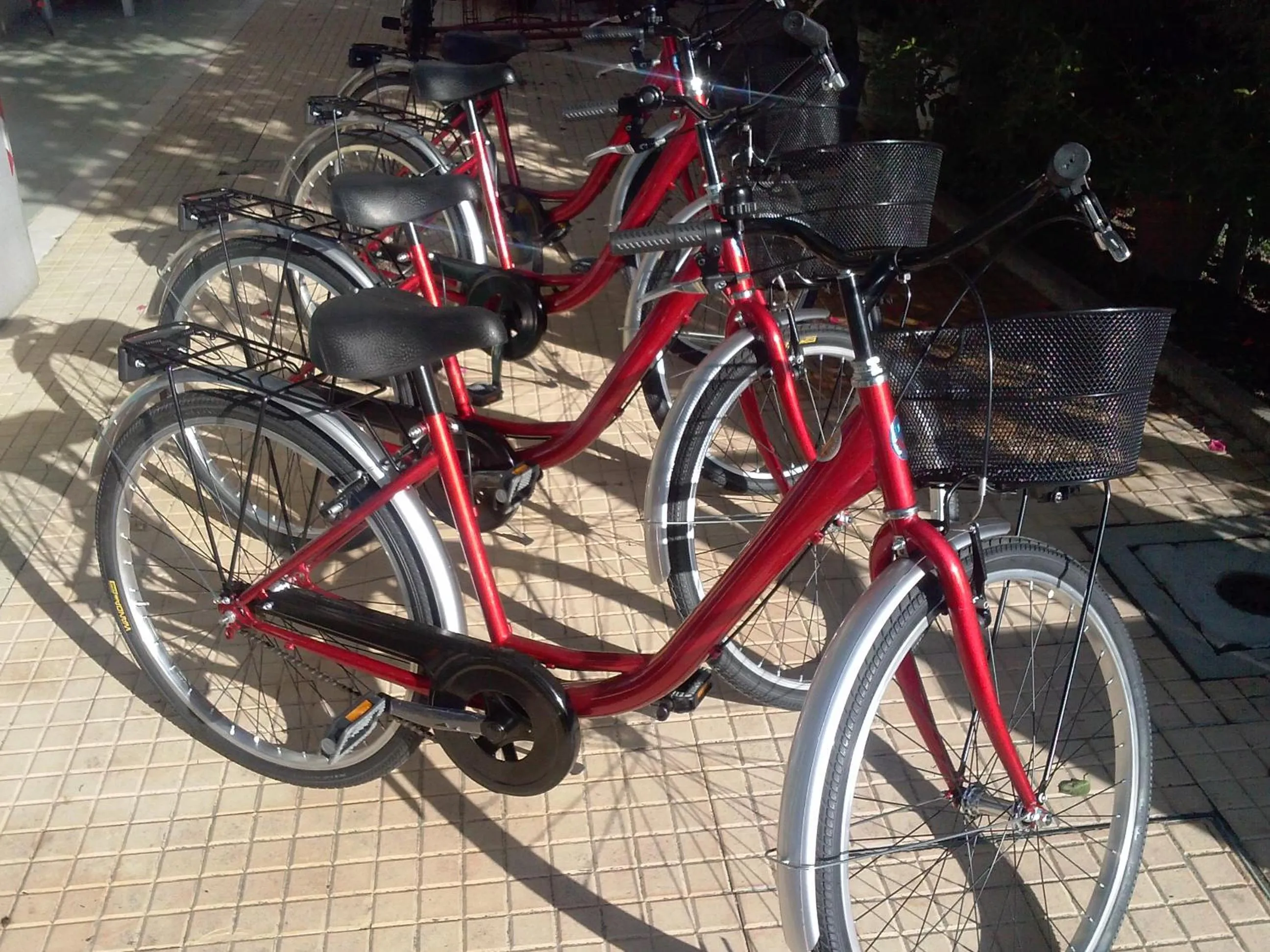 Cycling in Villa Lauda B&B