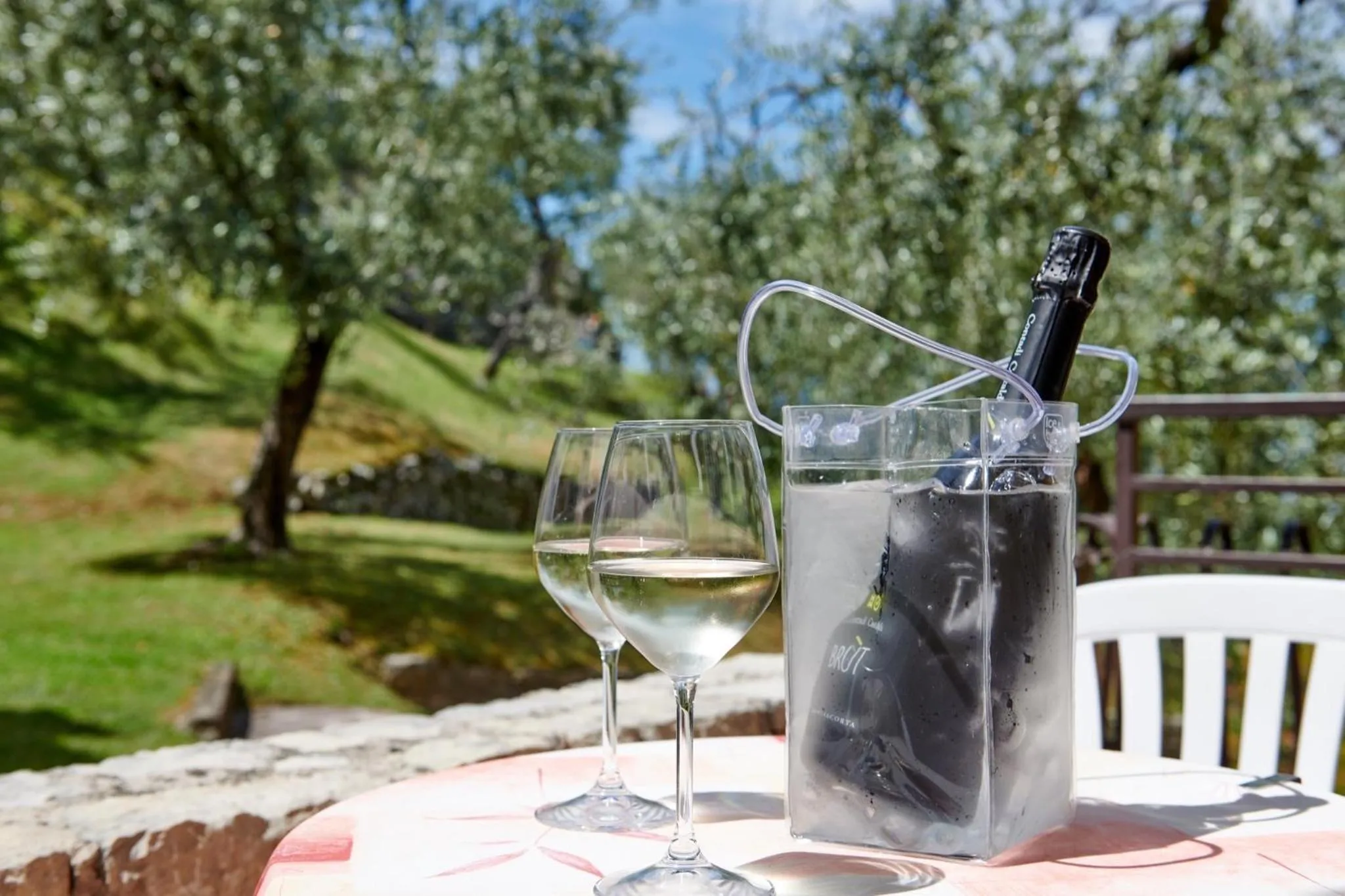 Balcony/Terrace in Albergo Del Garda