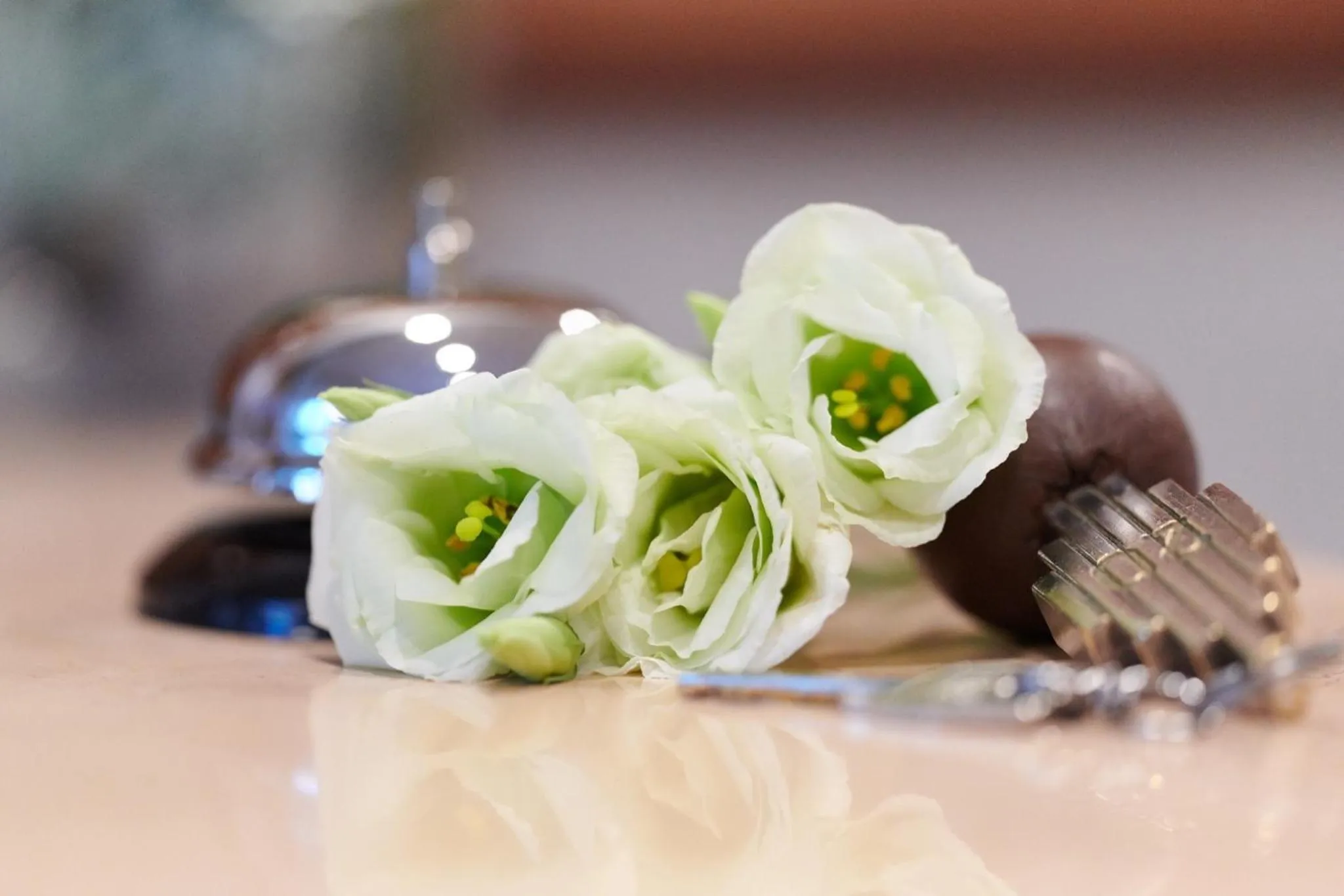 Lobby or reception in Albergo Del Garda