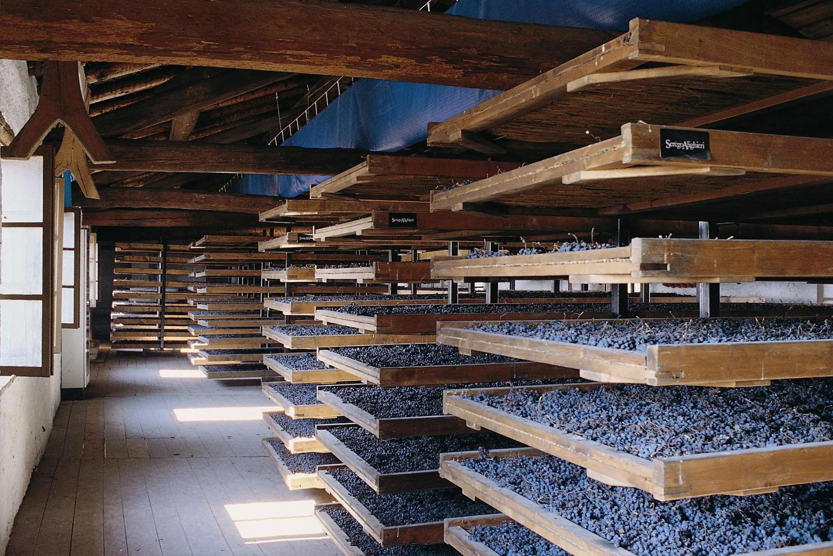 Other in La Foresteria Serego Alighieri